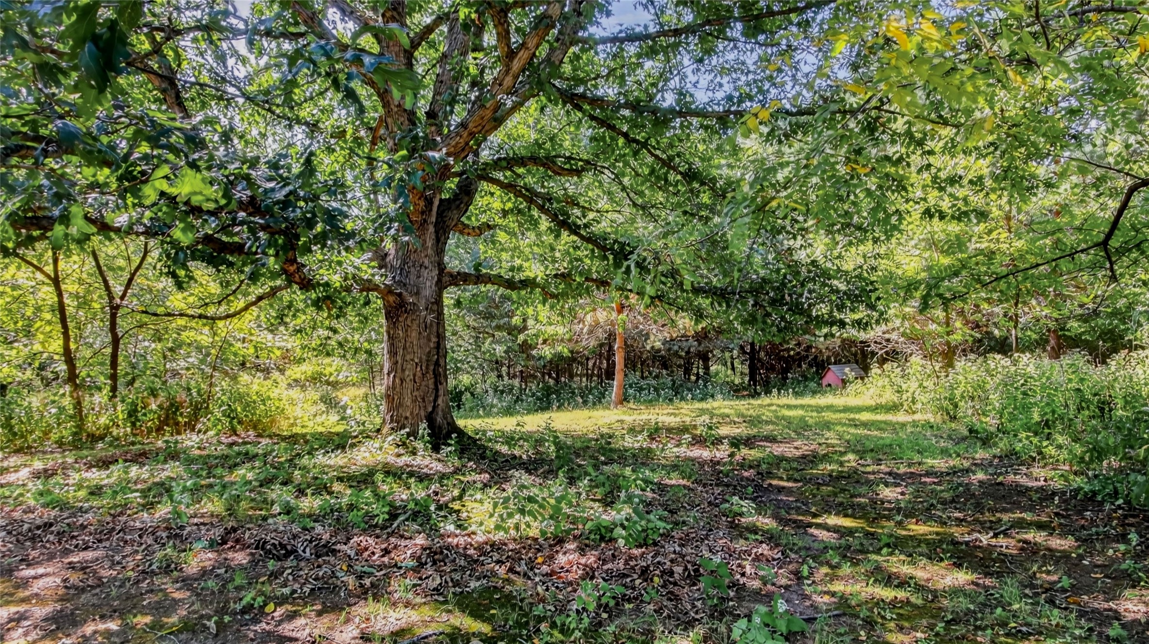 415 Hewitt Street Property Photo 5