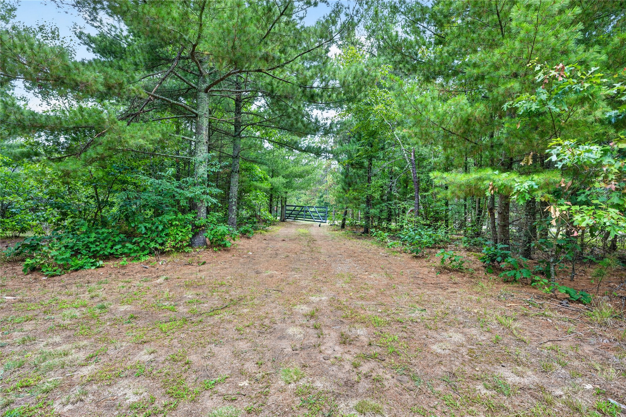 6995 Minerva Landing Property Photo 1