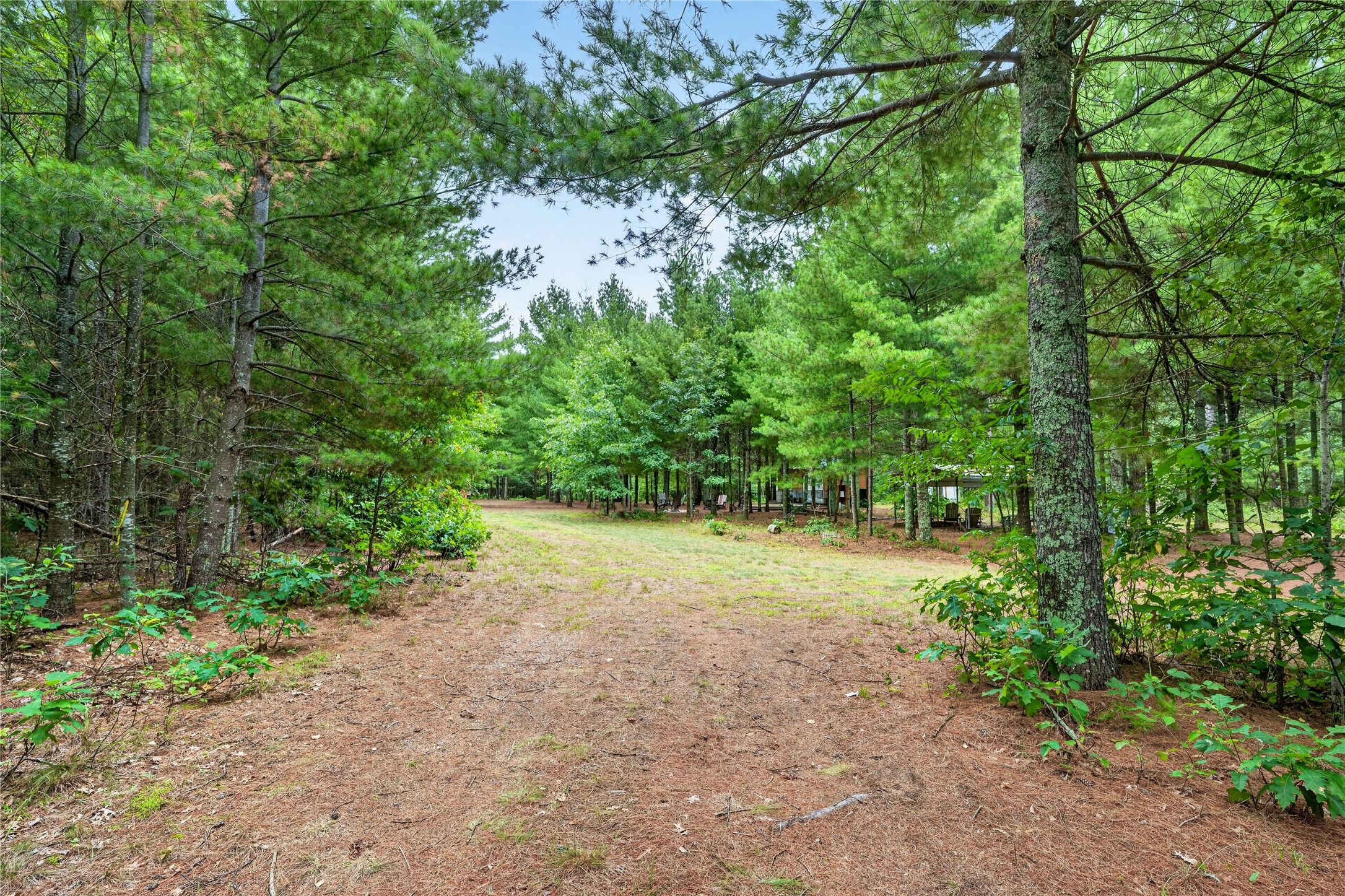 6995 Minerva Landing Property Photo 22