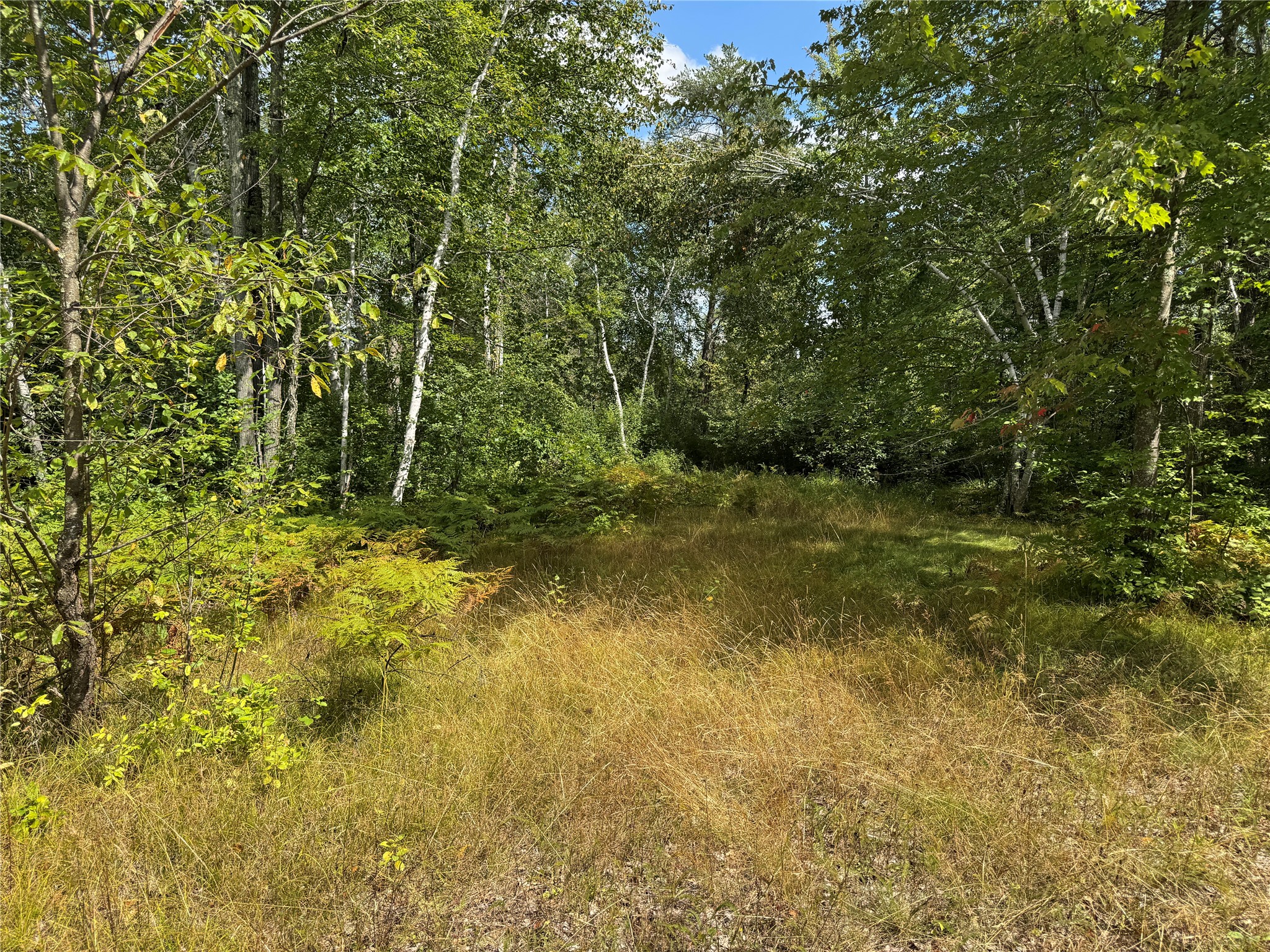 900 County Rd A Property Photo 17