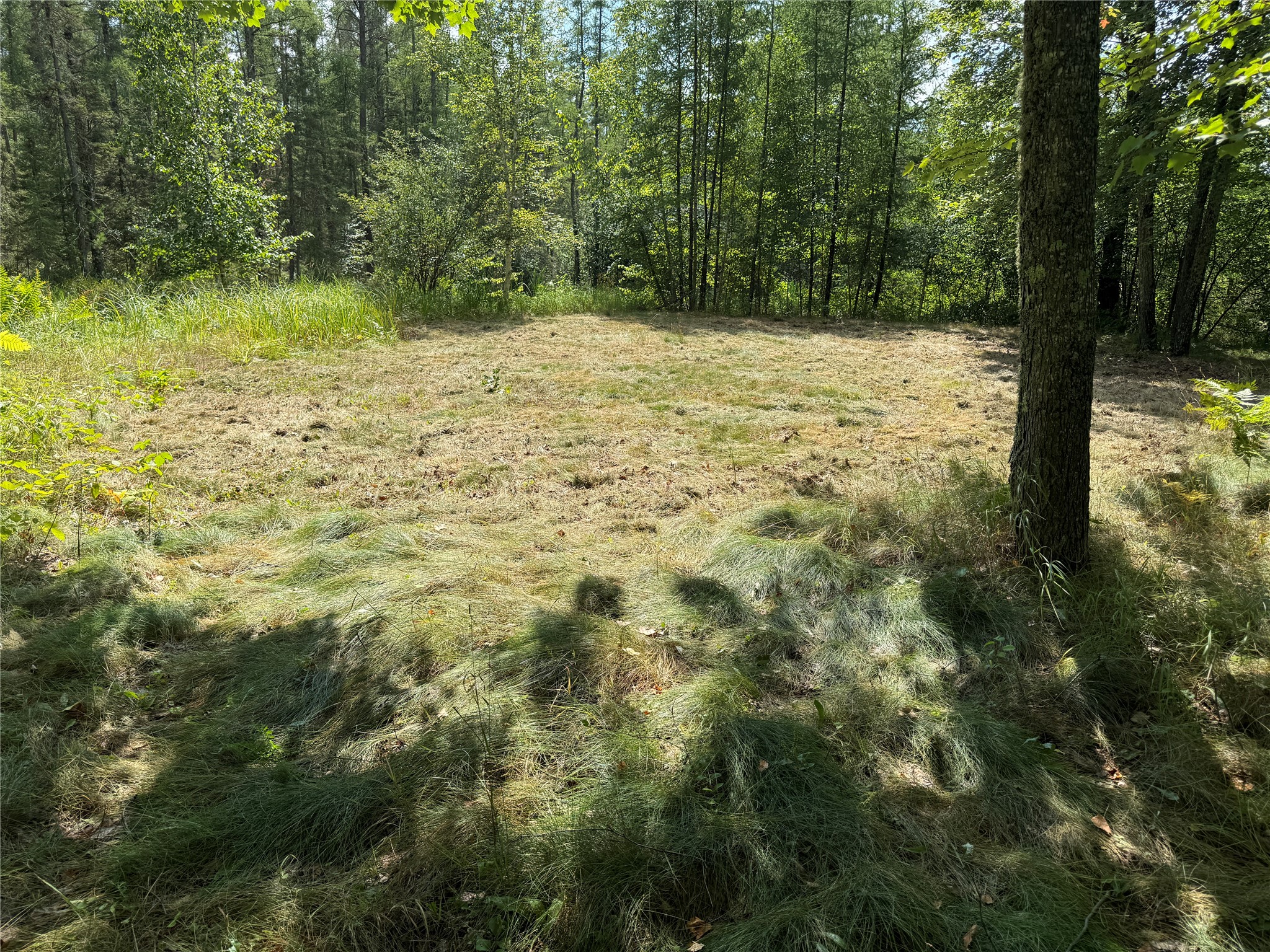 900 County Rd A Property Photo 18