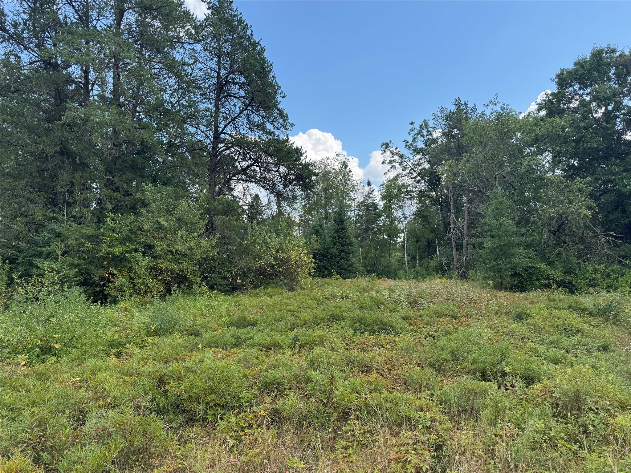 900 County Rd A Property Photo 24