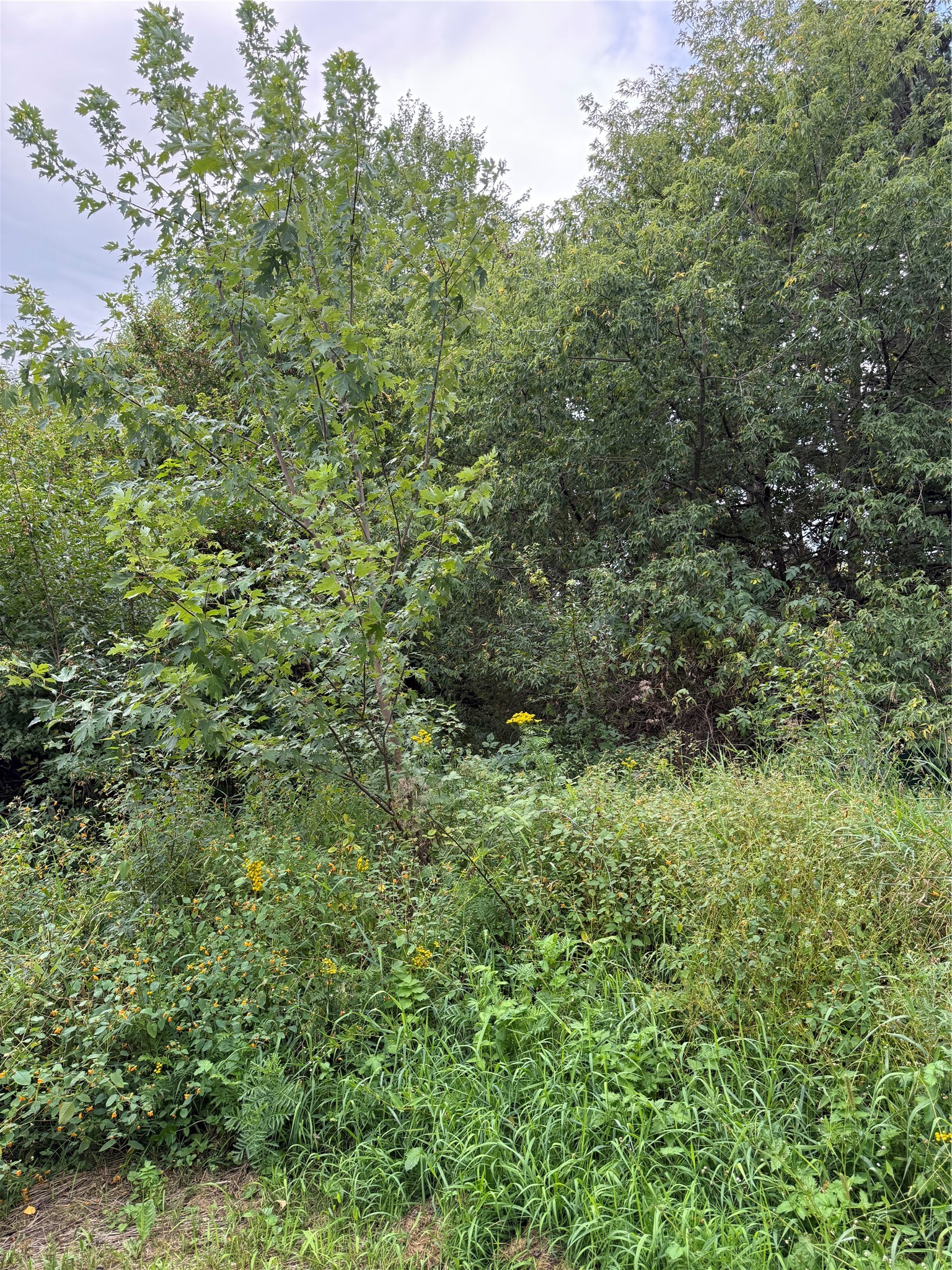 5956 County Highway H Property Photo 16