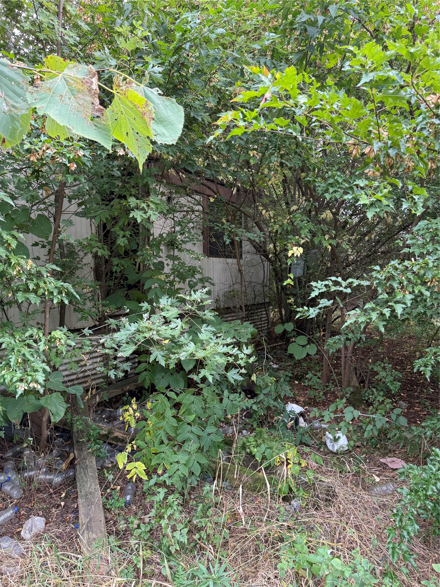 5956 County Highway H Property Photo 18