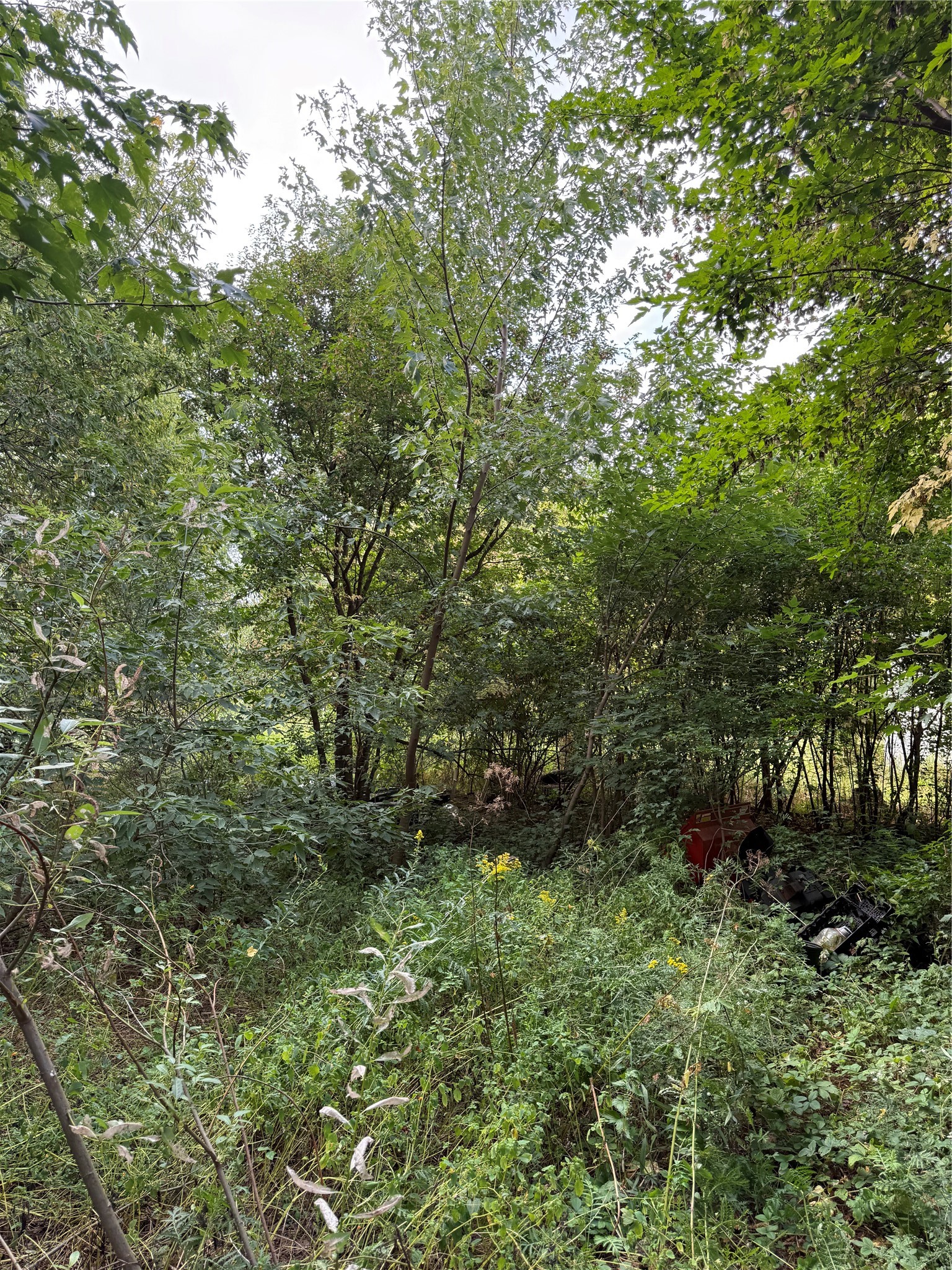 5956 County Highway H Property Photo 23