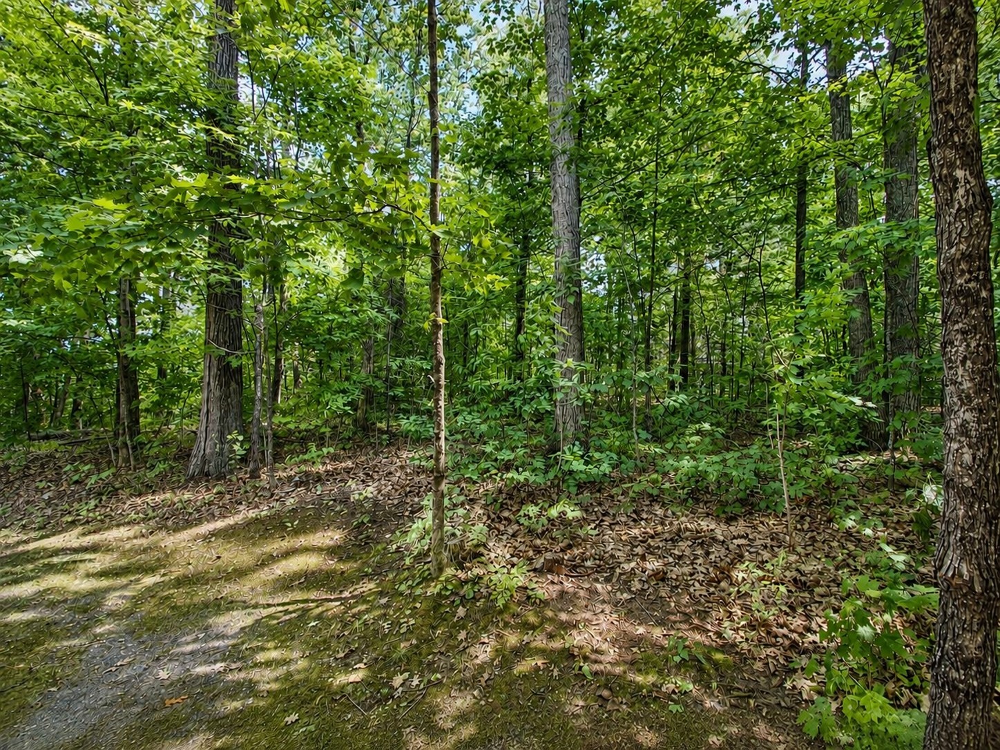 12652 W South Shore Road Property Photo 57