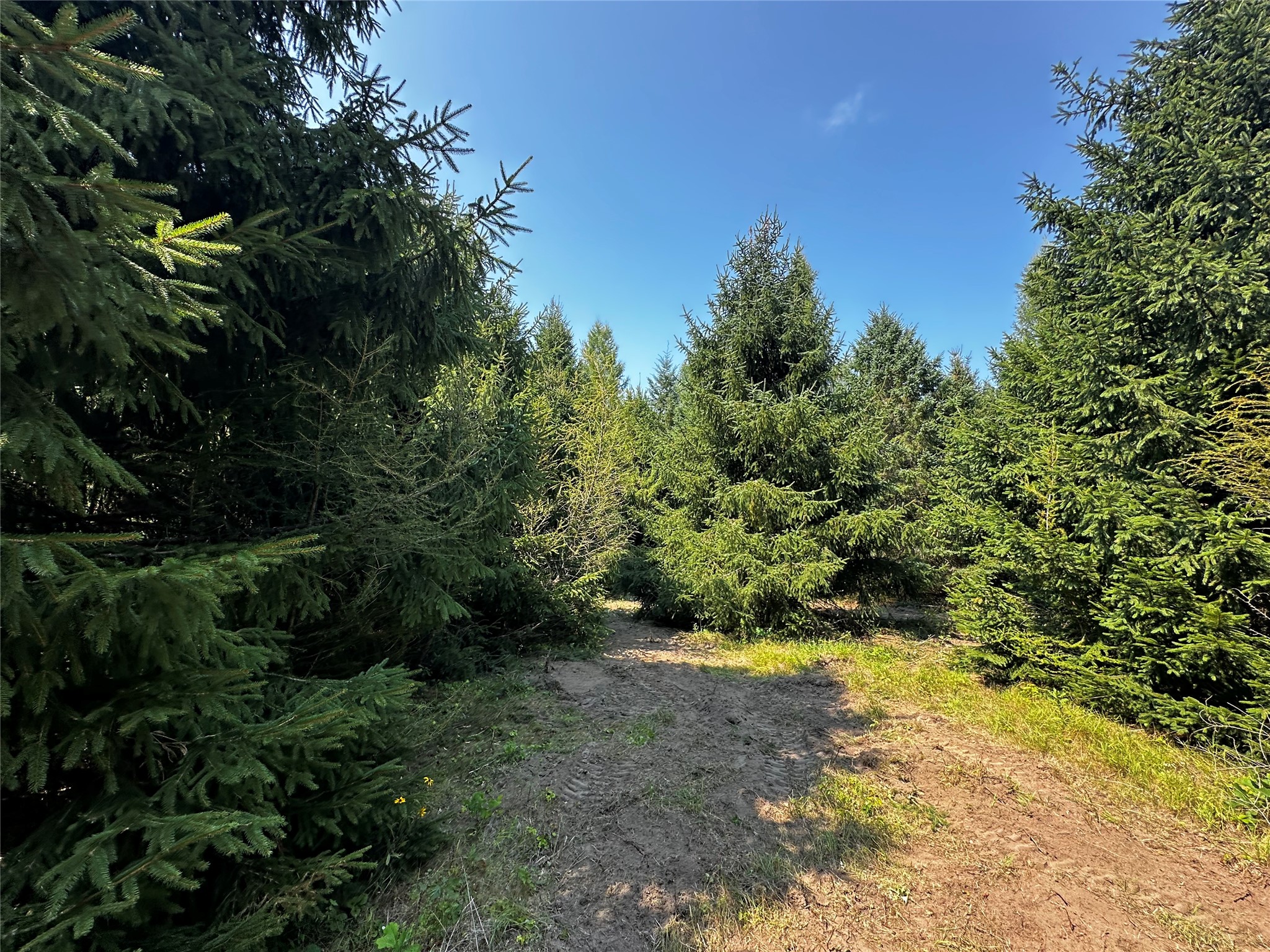 N9679 630th Street Property Photo 10