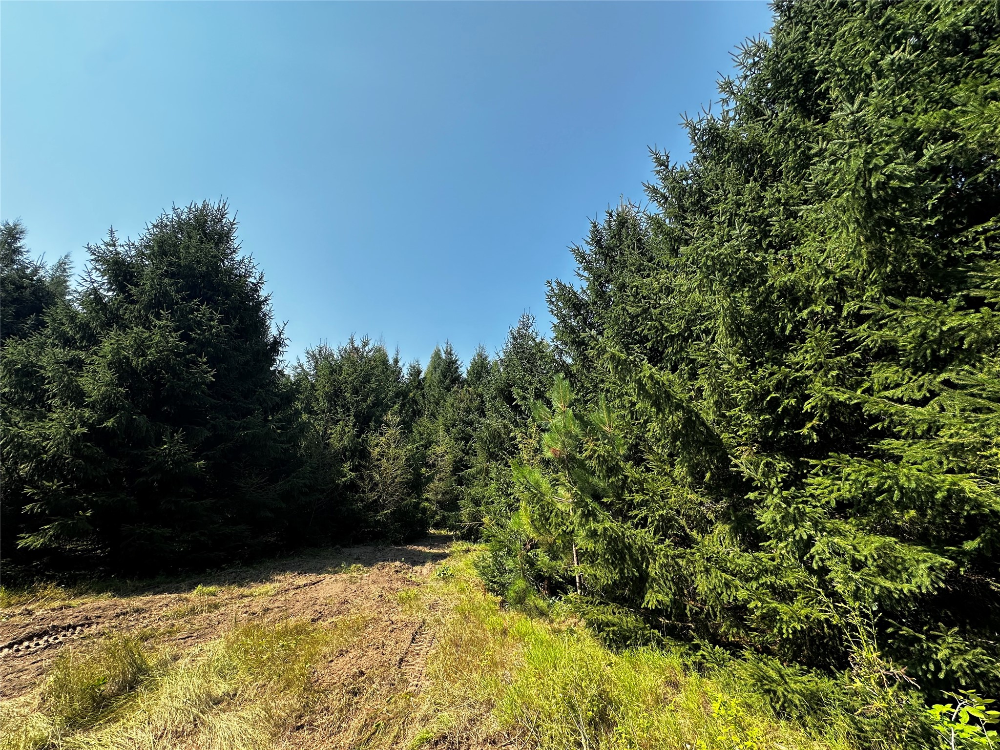 N9679 630th Street Property Photo 18