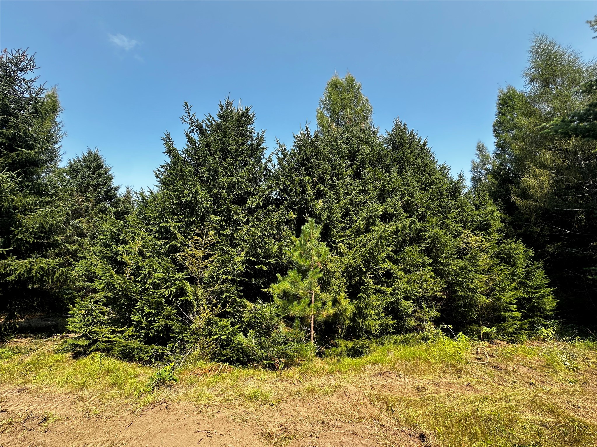 N9679 630th Street Property Photo 23