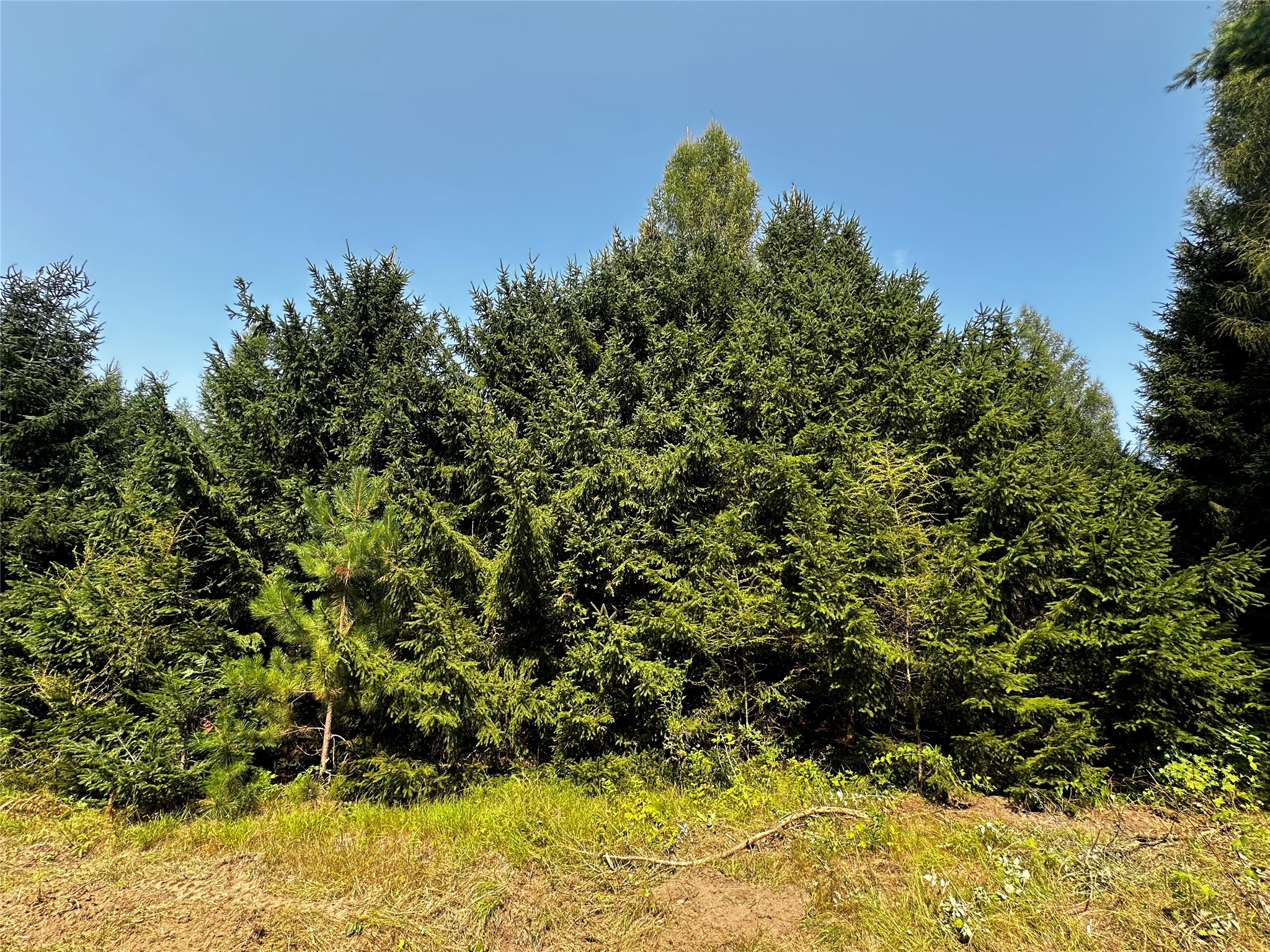 N9679 630th Street Property Photo 26