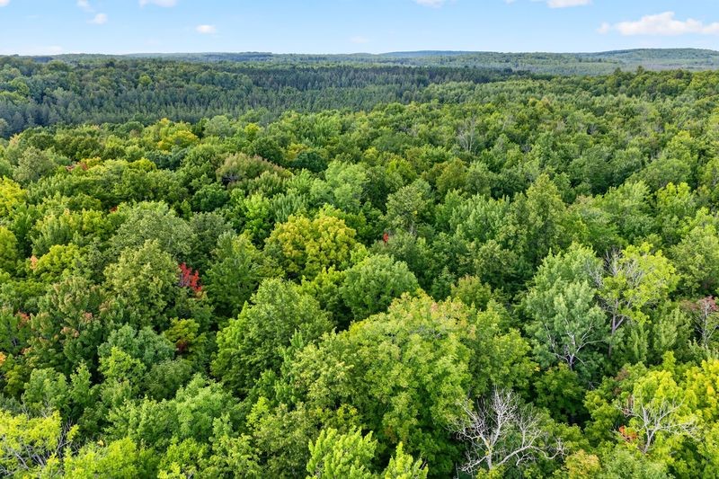 20 Acres State Highway 77 Property Photo 3