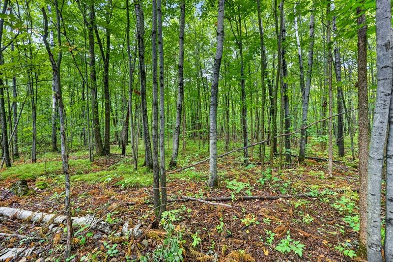 20 Acres State Hwy 77 Property Photo 5