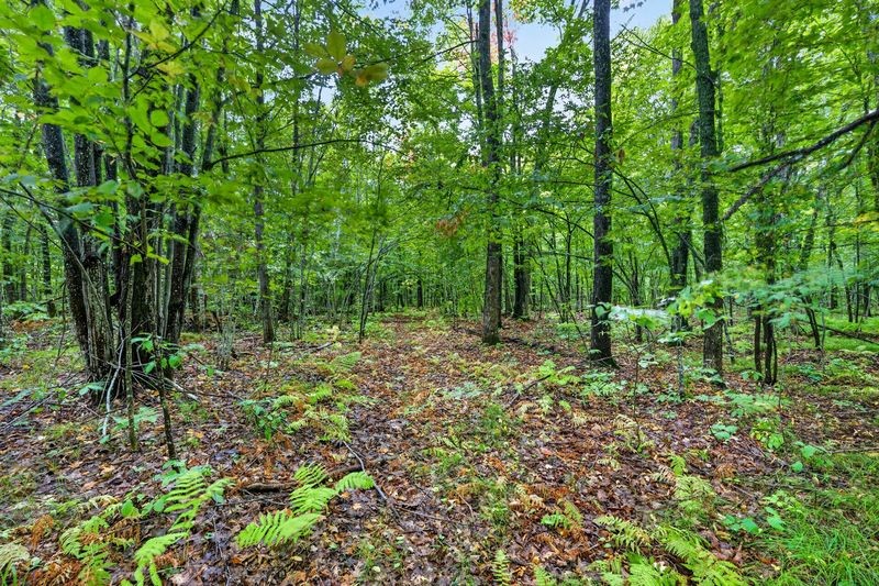 20 Acres State Hwy 77 Property Photo 6