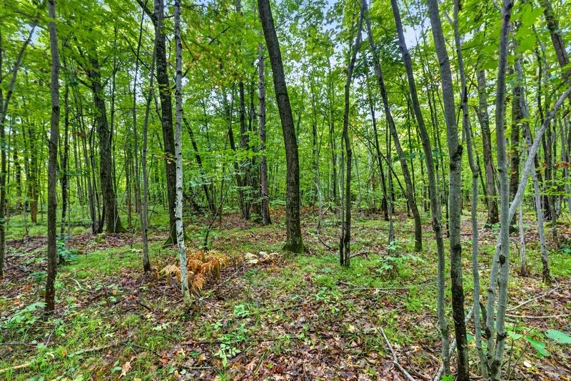 20 Acres State Hwy 77 Property Photo 7