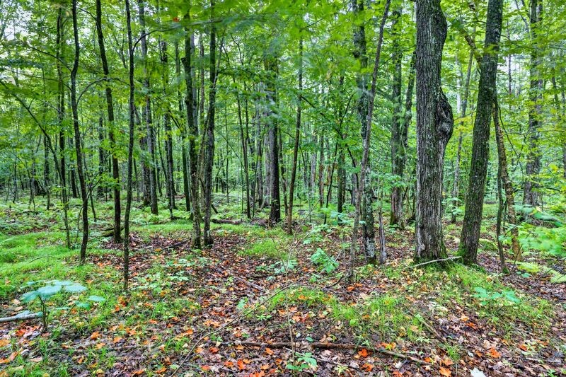 20 Acres State Hwy 77 Property Photo 8