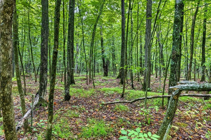 20 Acres State Hwy 77 Property Photo 11