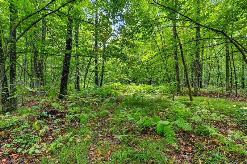 20 Acres State Hwy 77 Property Photo 12