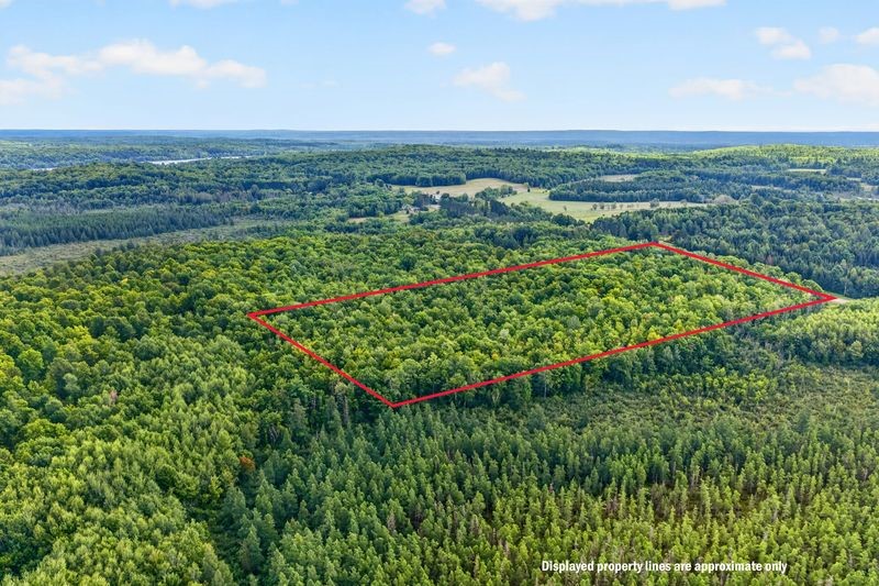 20 Acres State Hwy 77 Property Photo 16