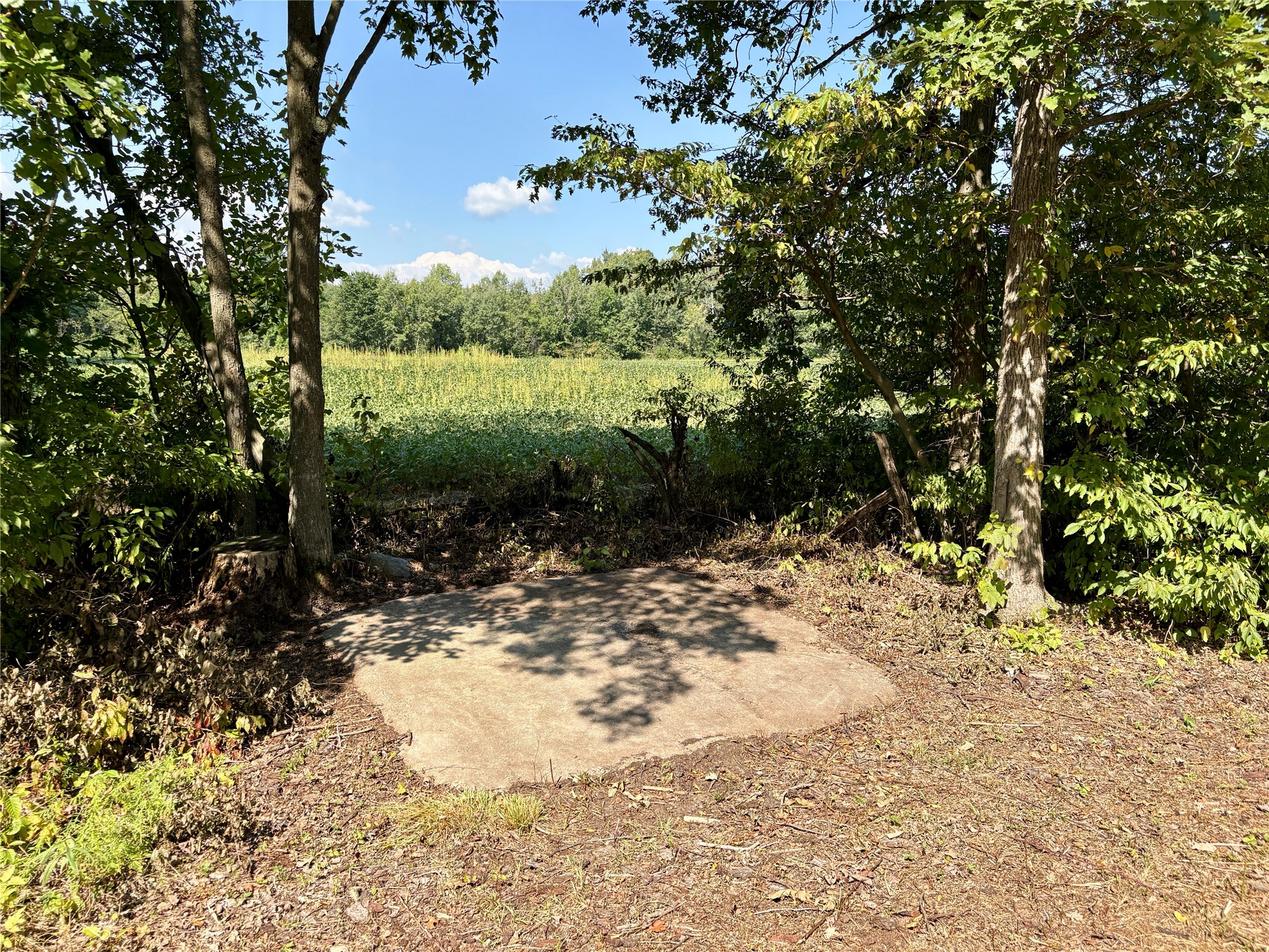 W16860 County Road D Property Photo 9