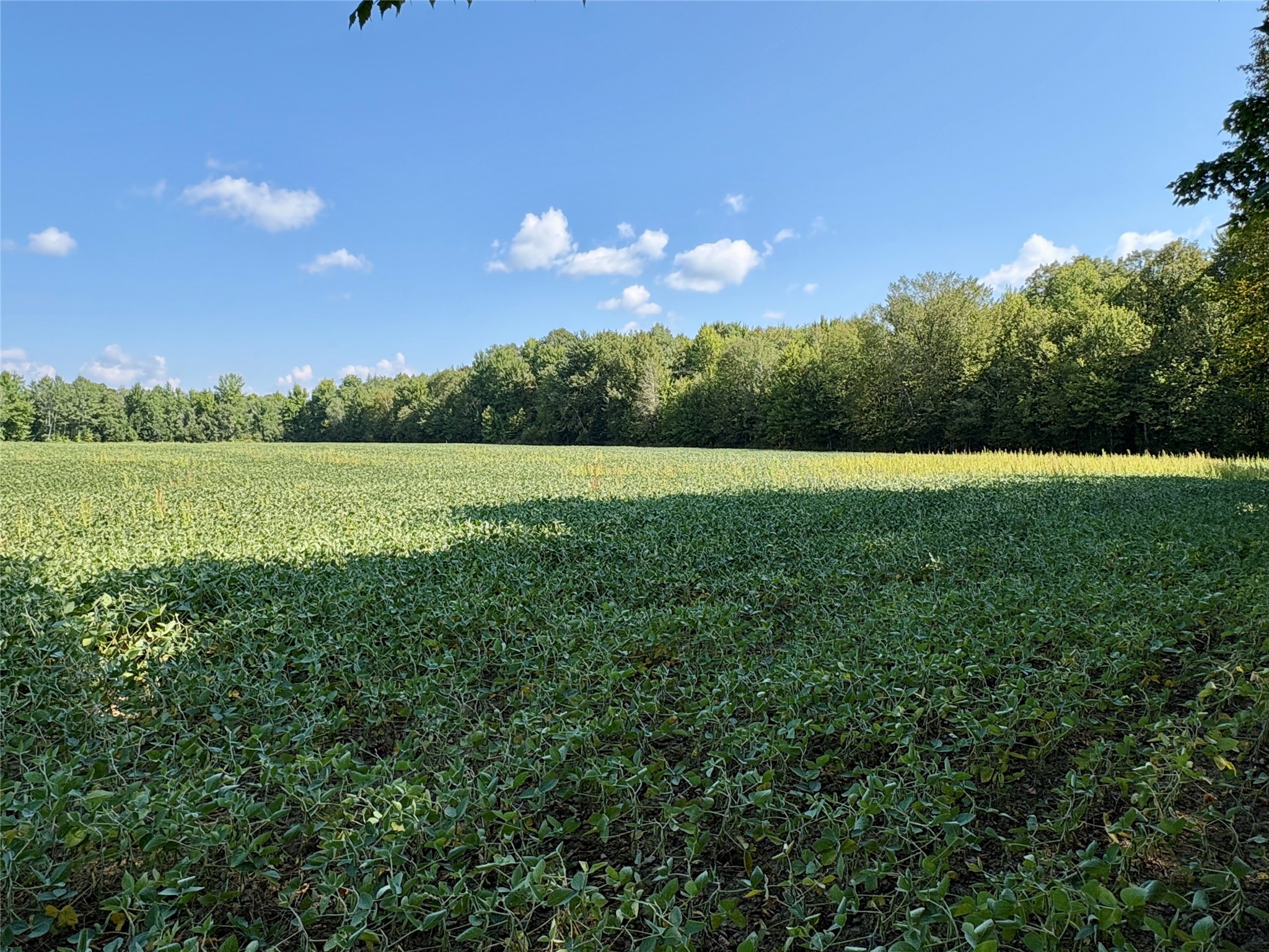 W16860 County Road D Property Photo 31