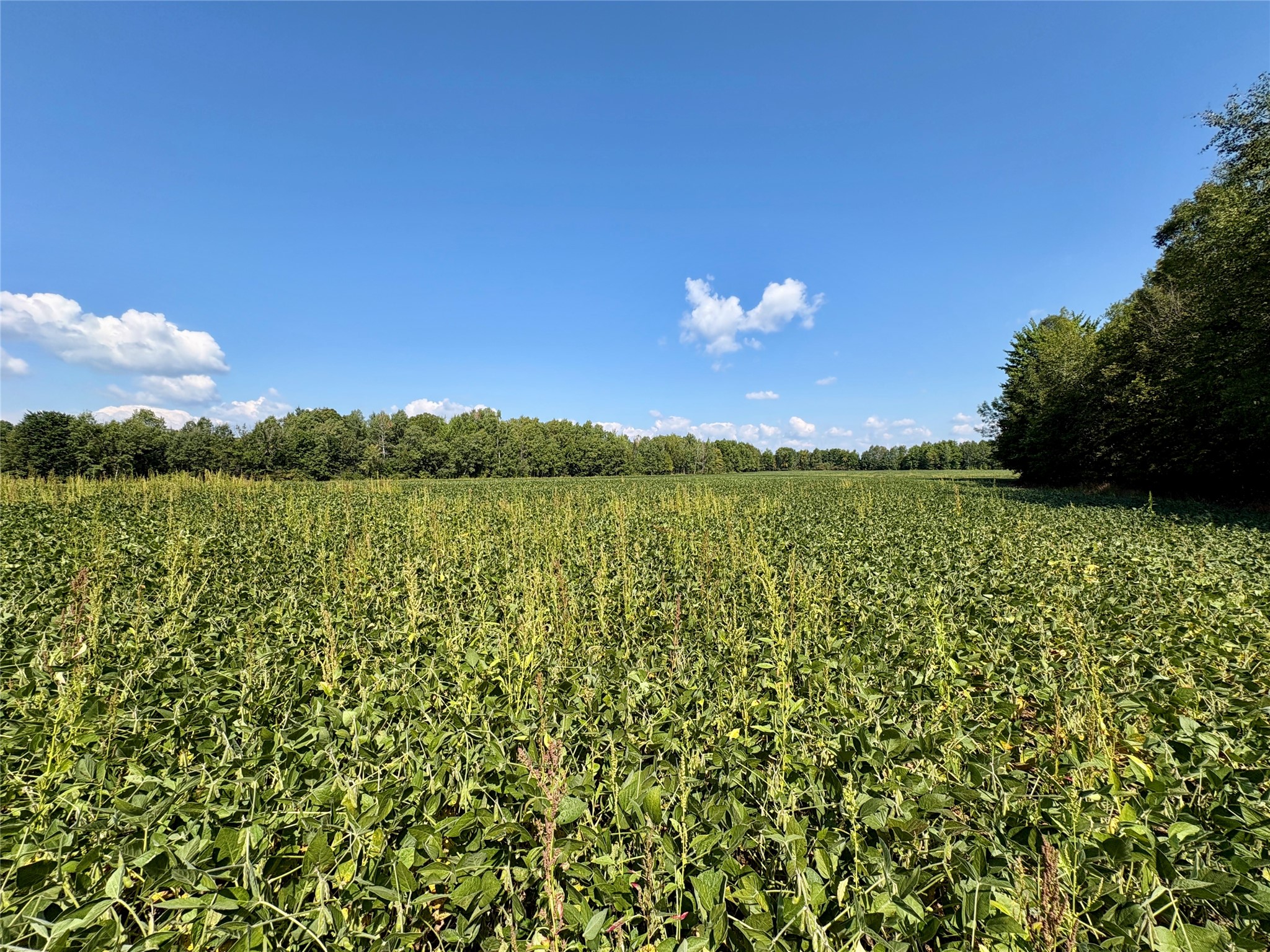 W16860 Cty Rd D Property Photo 27