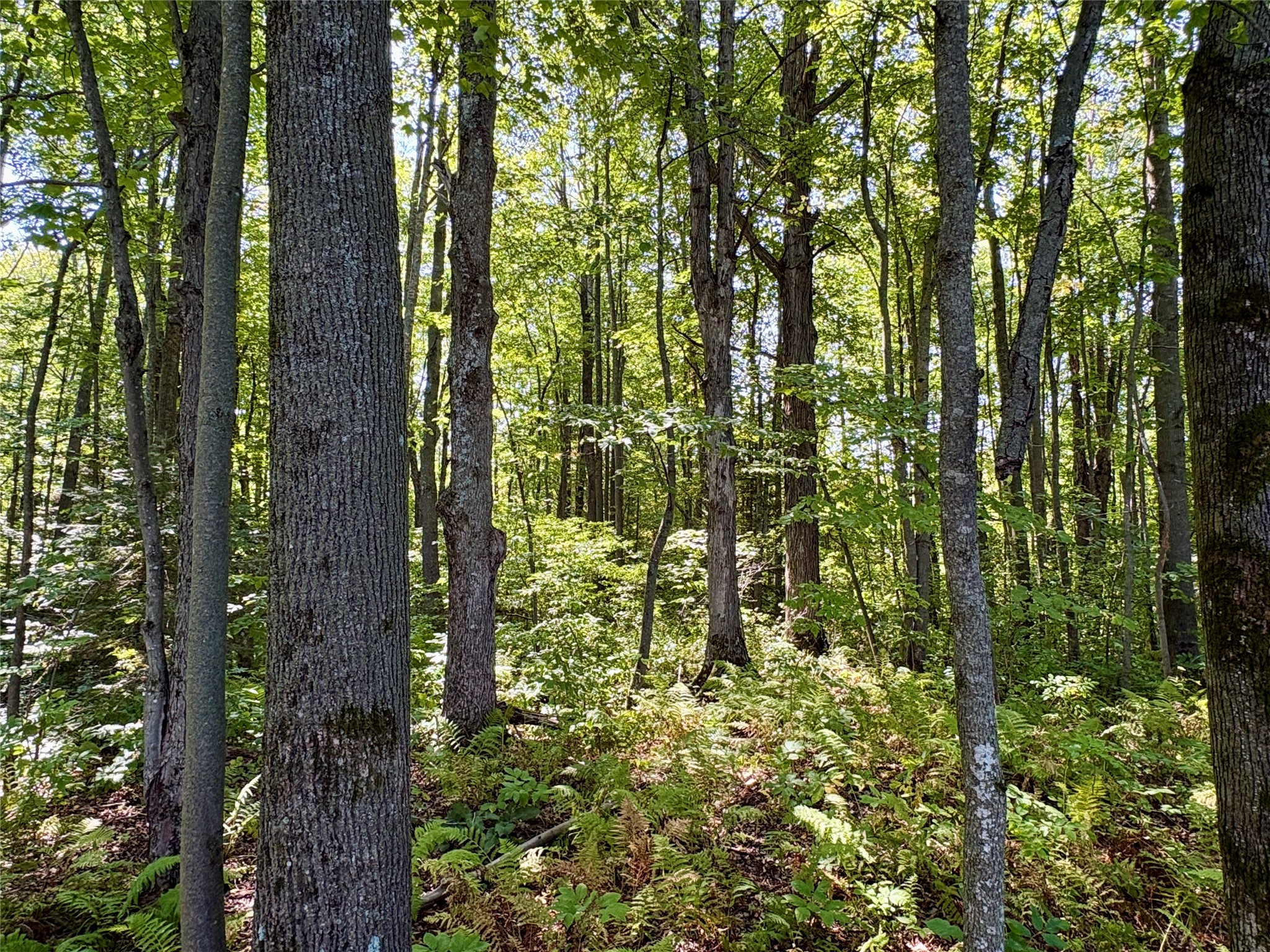 W16860 Cty Rd D Property Photo 32