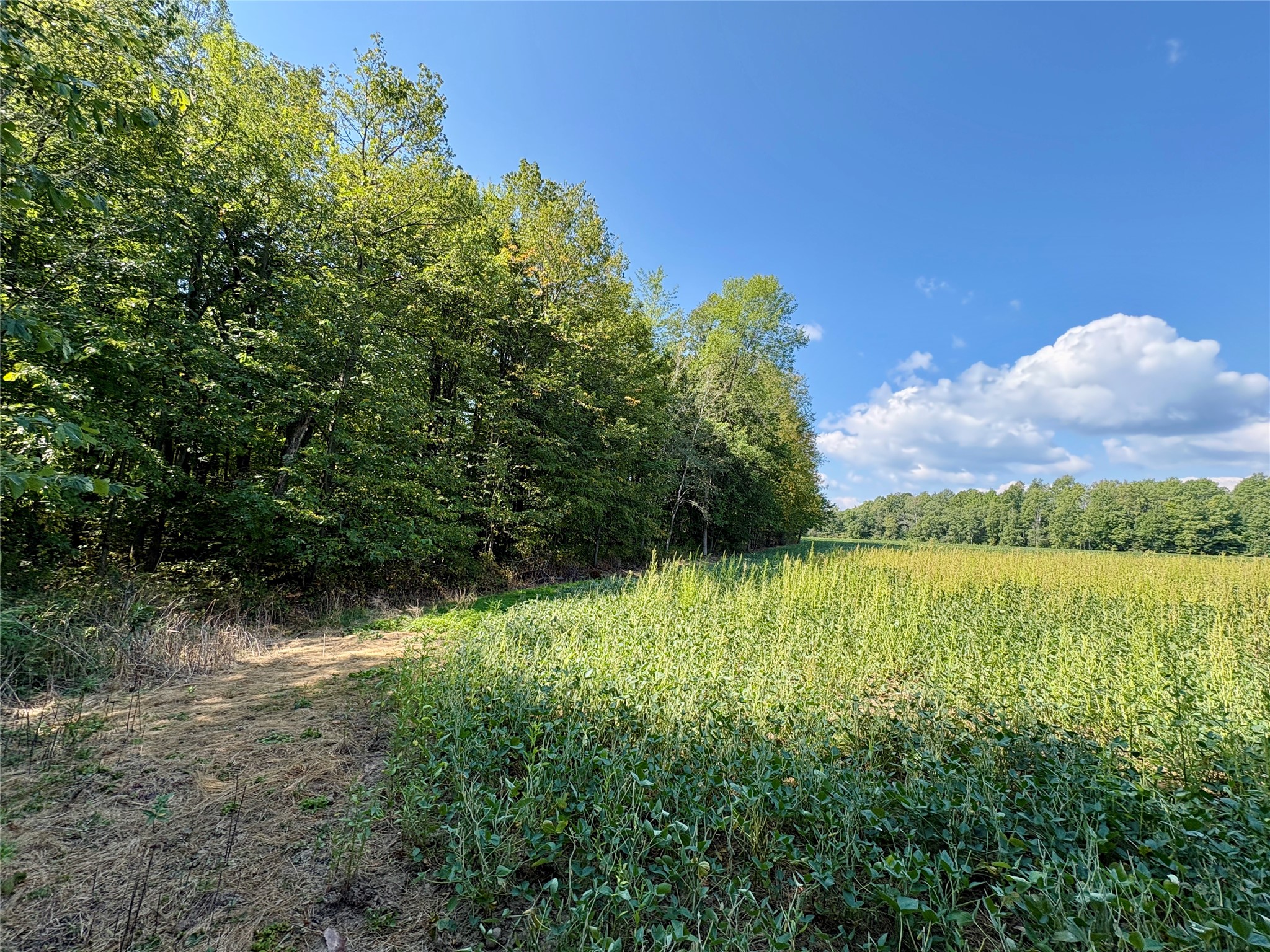 W16860 Cty Rd D Property Photo 35