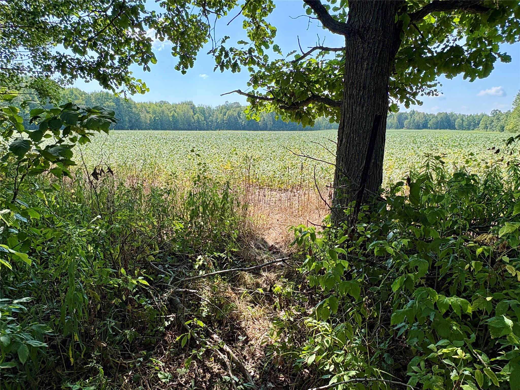 W16860 Cty Rd D Property Photo 39