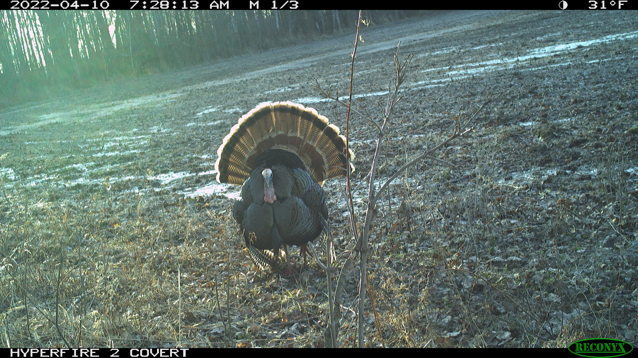 W16860 Cty Rd D Property Photo 50