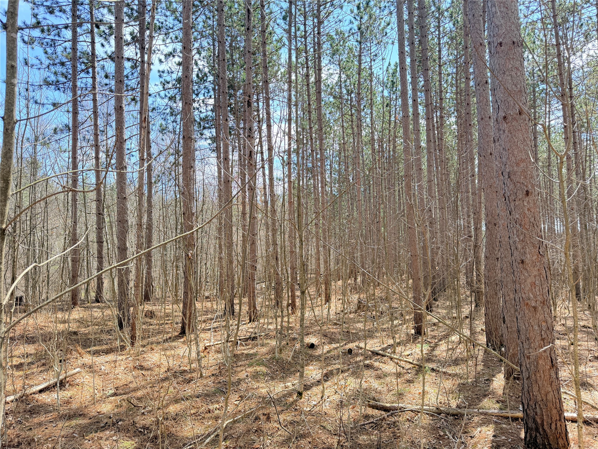 0 Star Lake Road Property Photo 8