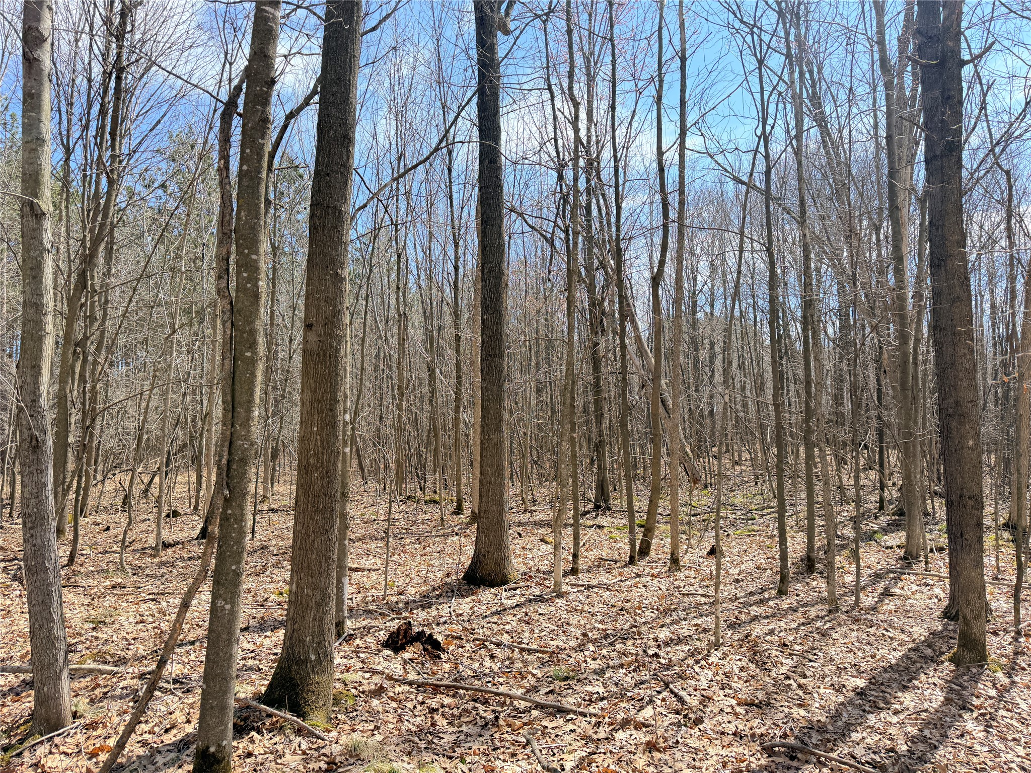 0 Star Lake Road Property Photo 11