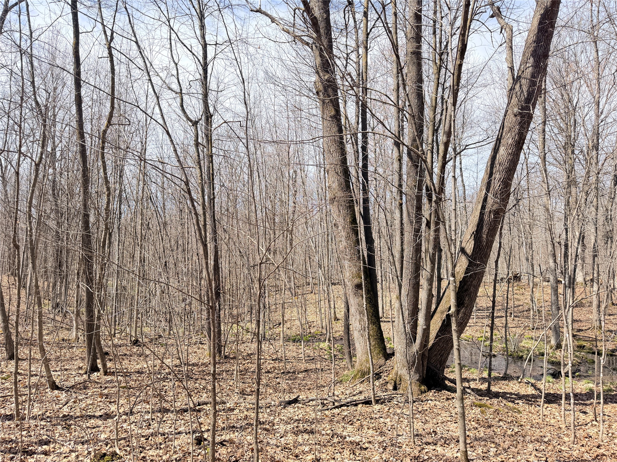 0 Star Lake Road Property Photo 12