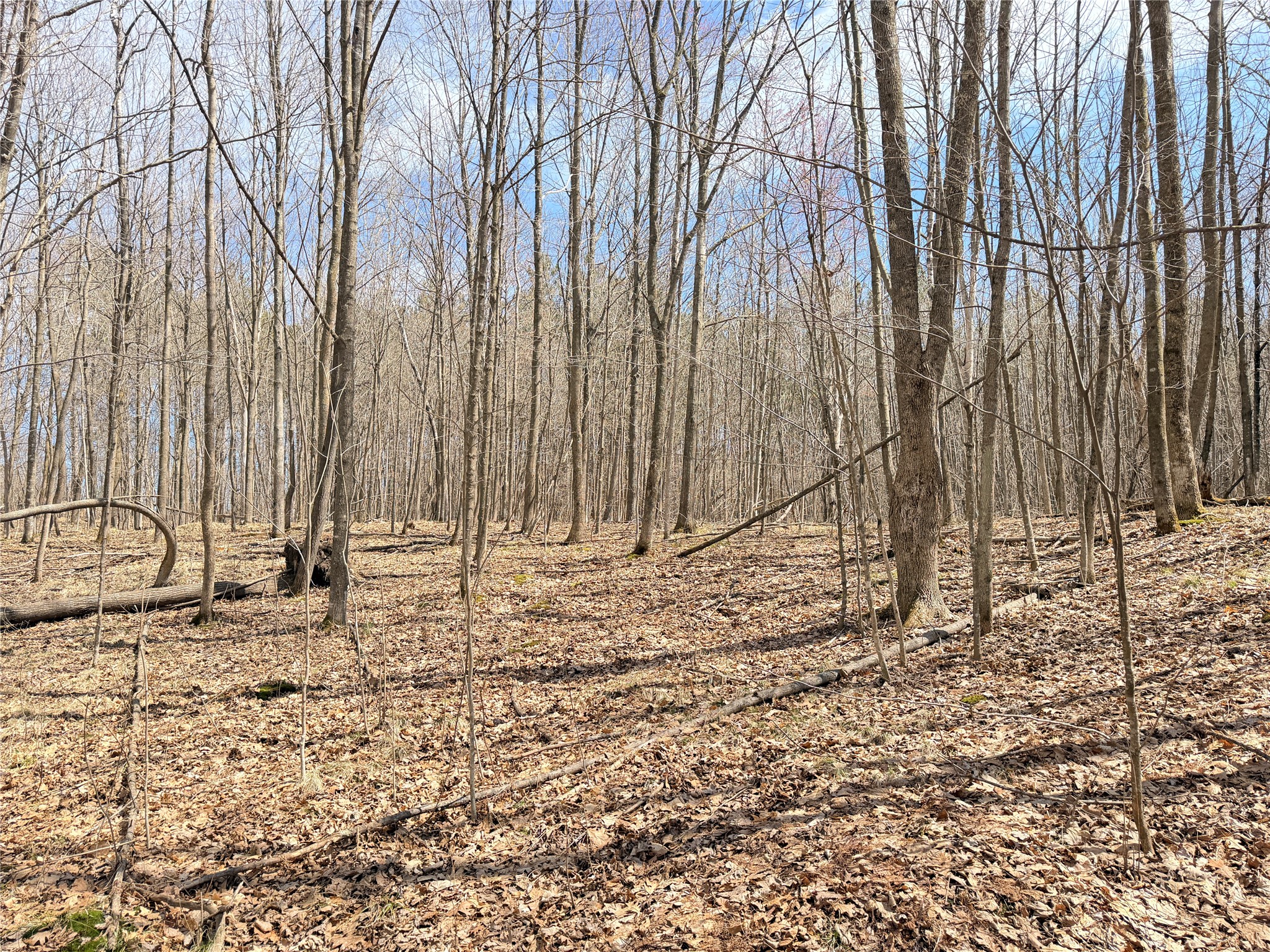 0 Star Lake Road Property Photo 14