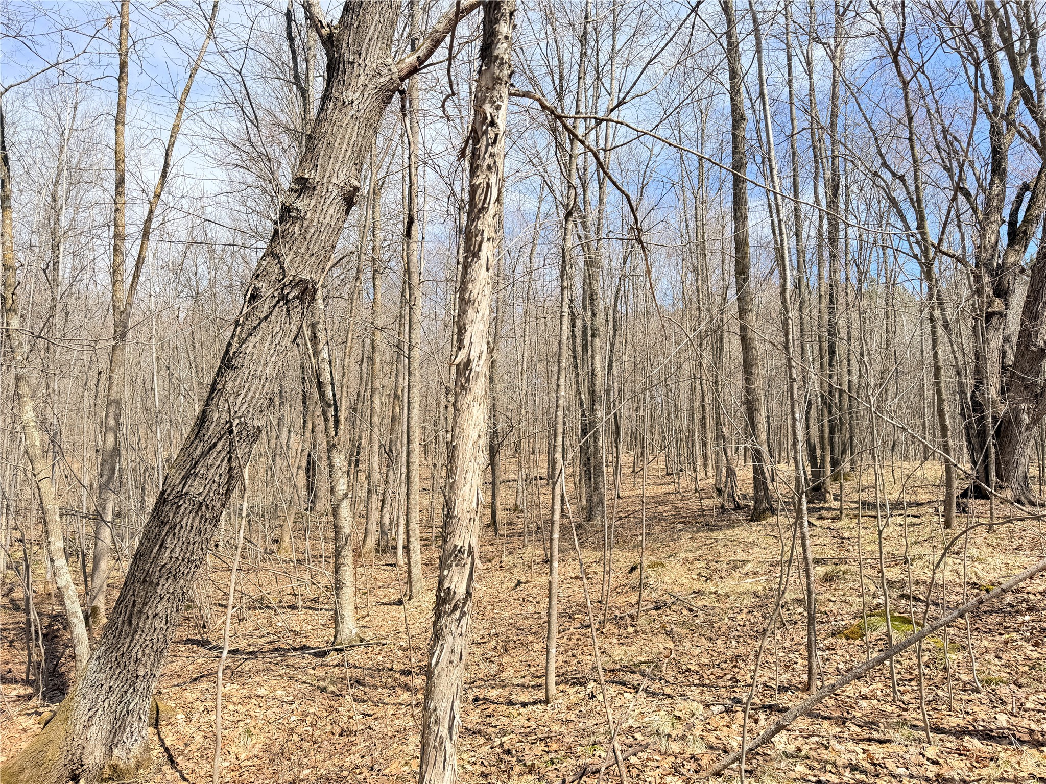0 Star Lake Road Property Photo 19