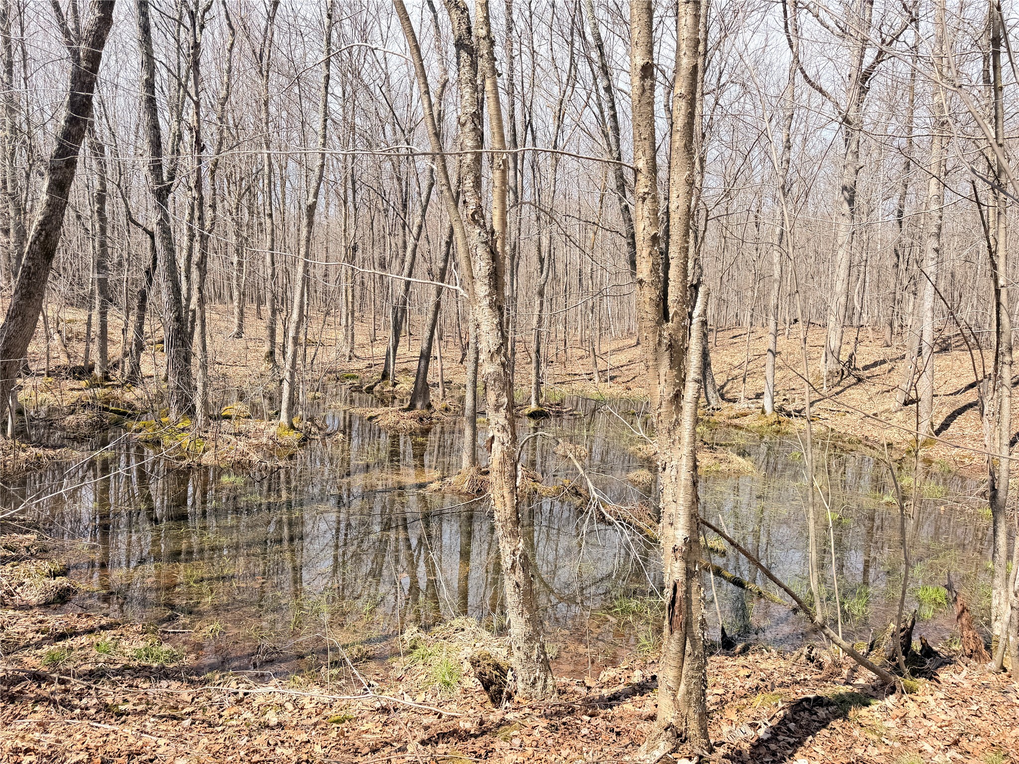 0 Star Lake Road Property Photo 23