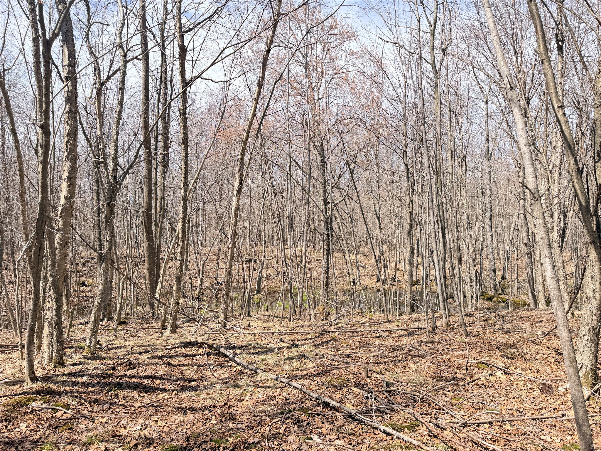 0 Star Lake Road Property Photo 25