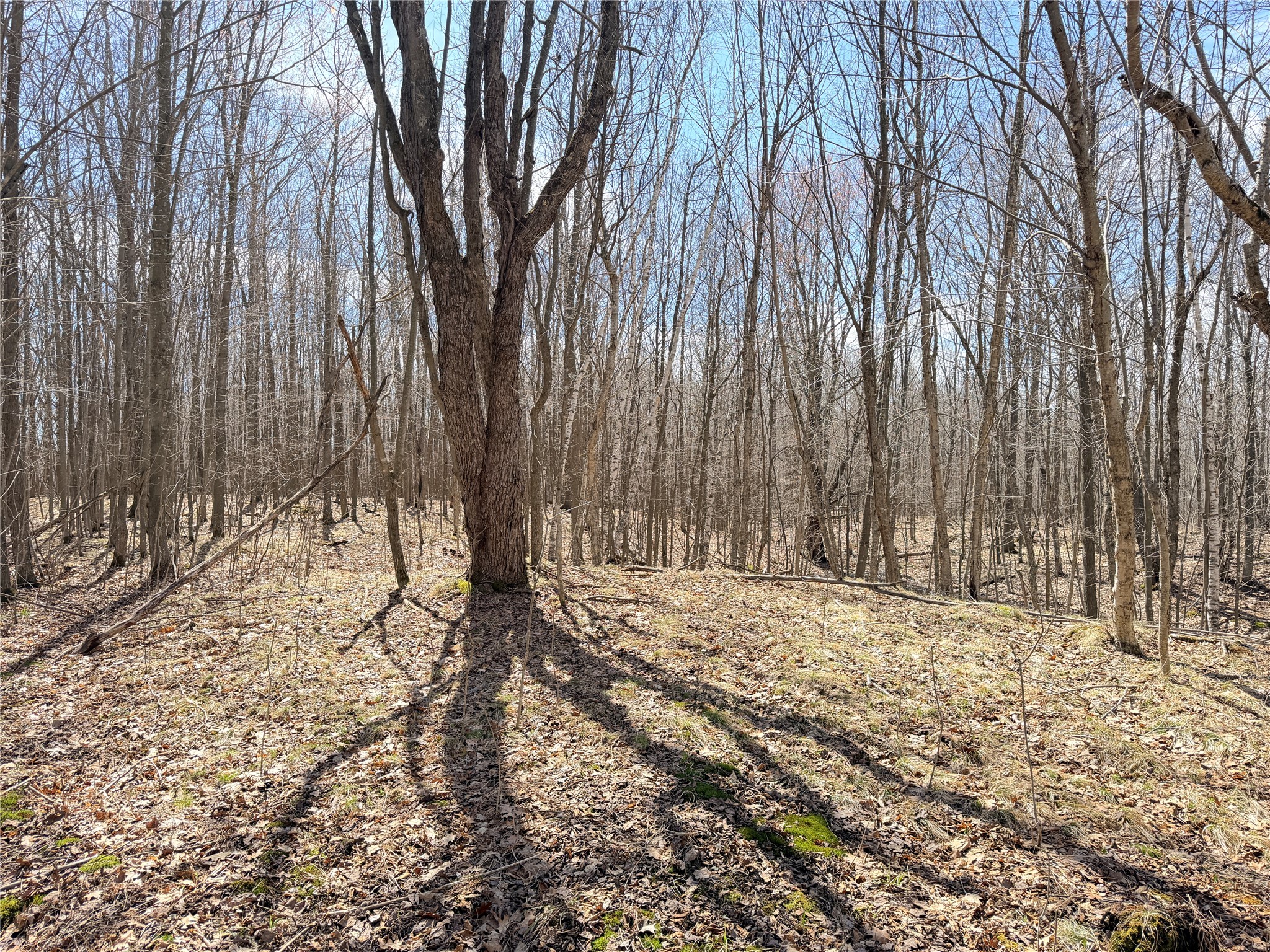 0 Star Lake Road Property Photo 26