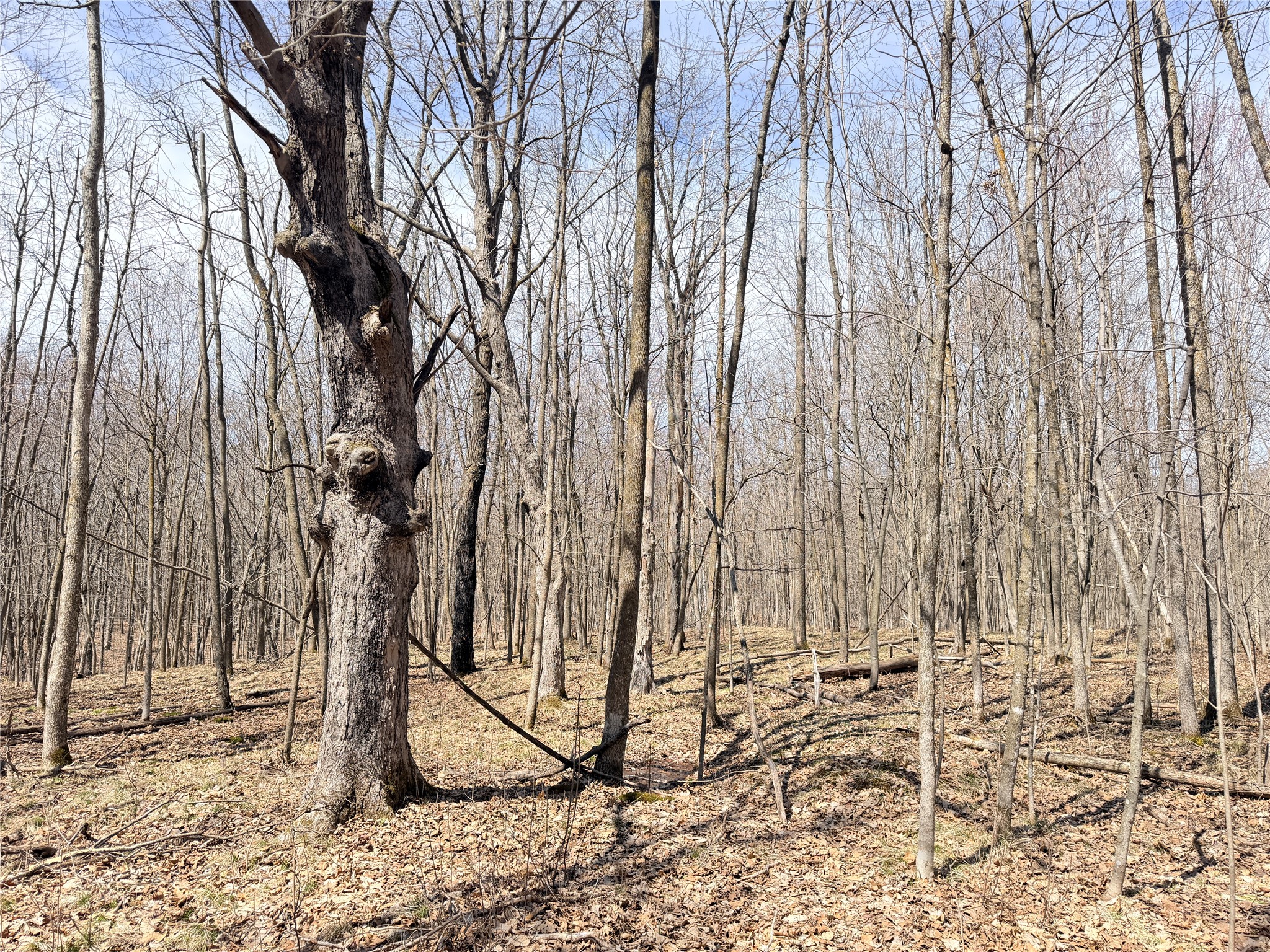 0 Star Lake Road Property Photo 29