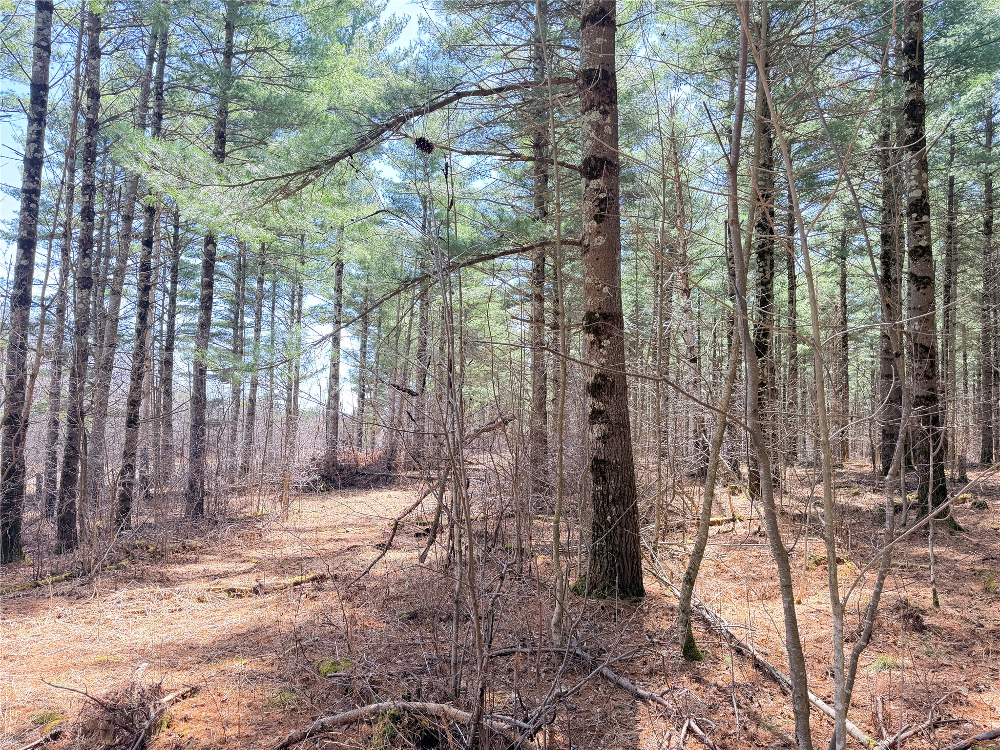 0 Star Lake Road Property Photo 31