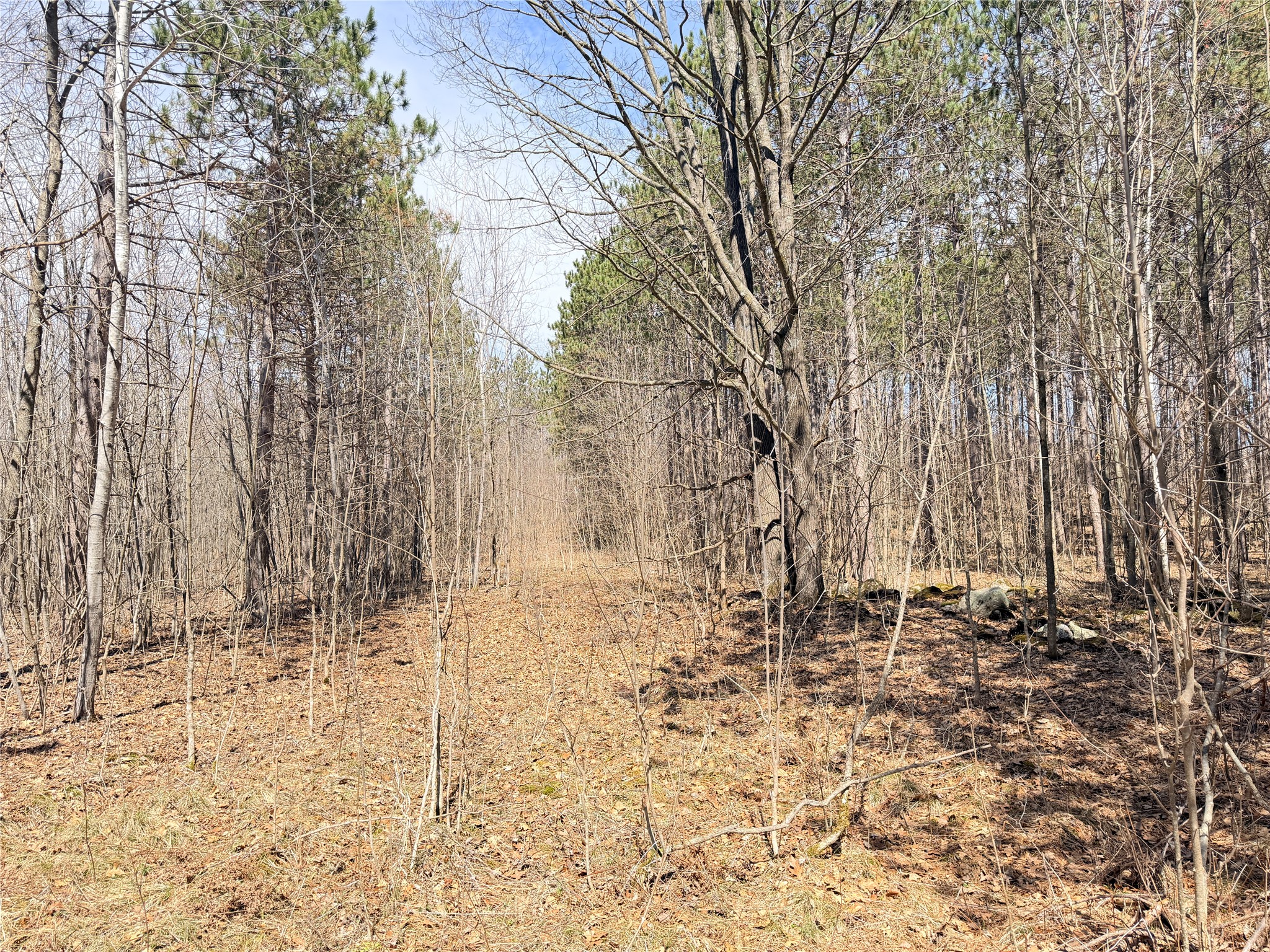 0 Star Lake Road Property Photo 33