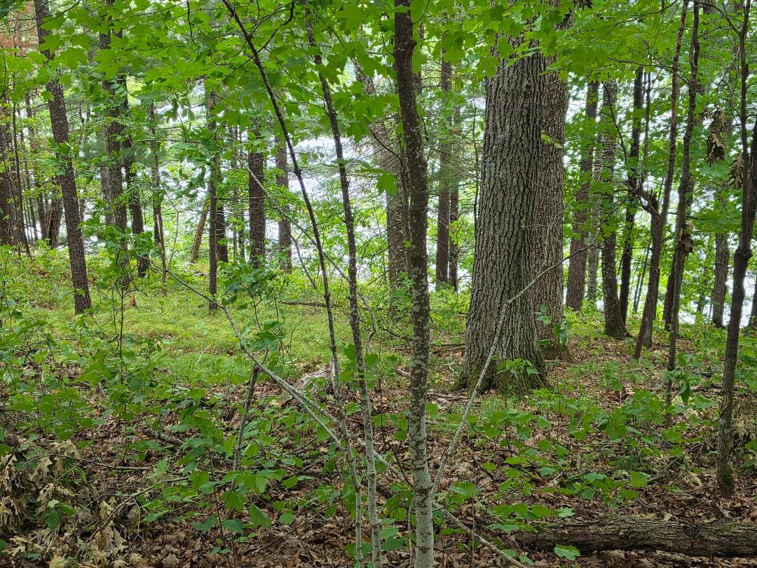 2406 4th Street Property Photo 1