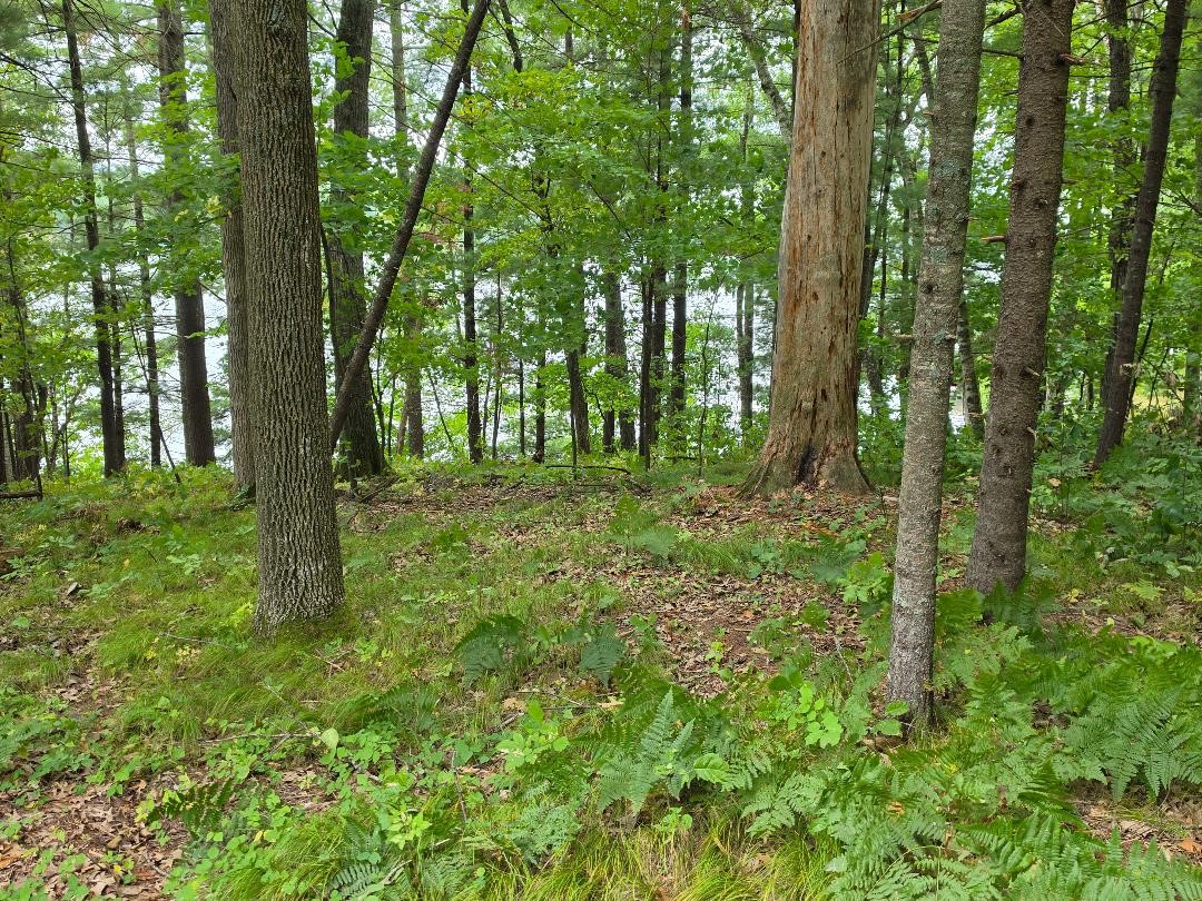 2406 4th Street Property Photo 2