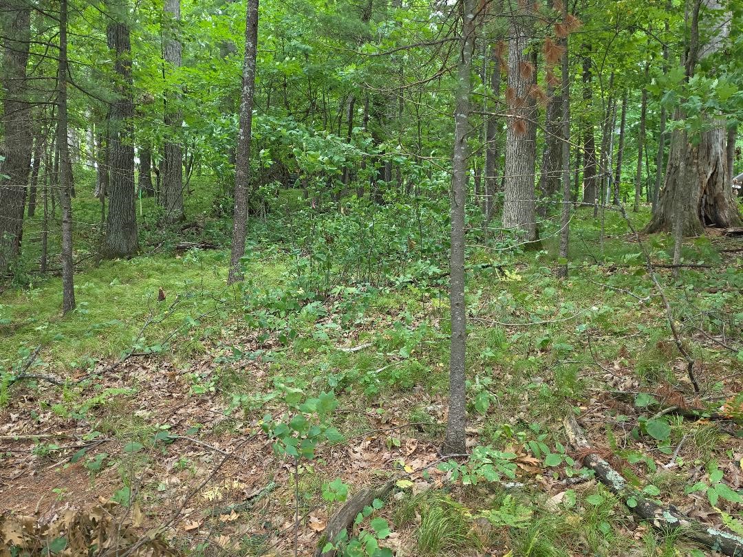 2406 4th Street Property Photo 16