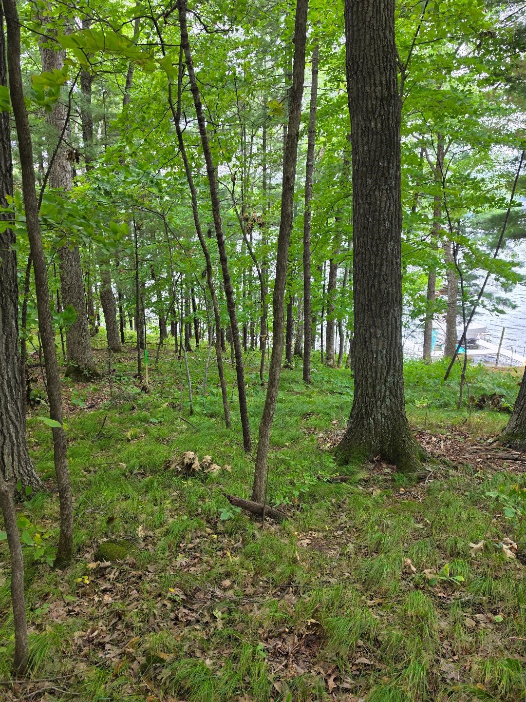2406 4th Street Property Photo 19