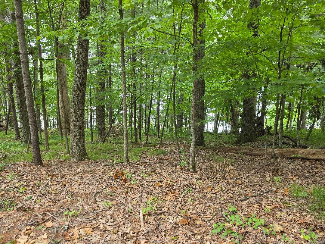 2406 4th Street Property Photo 20