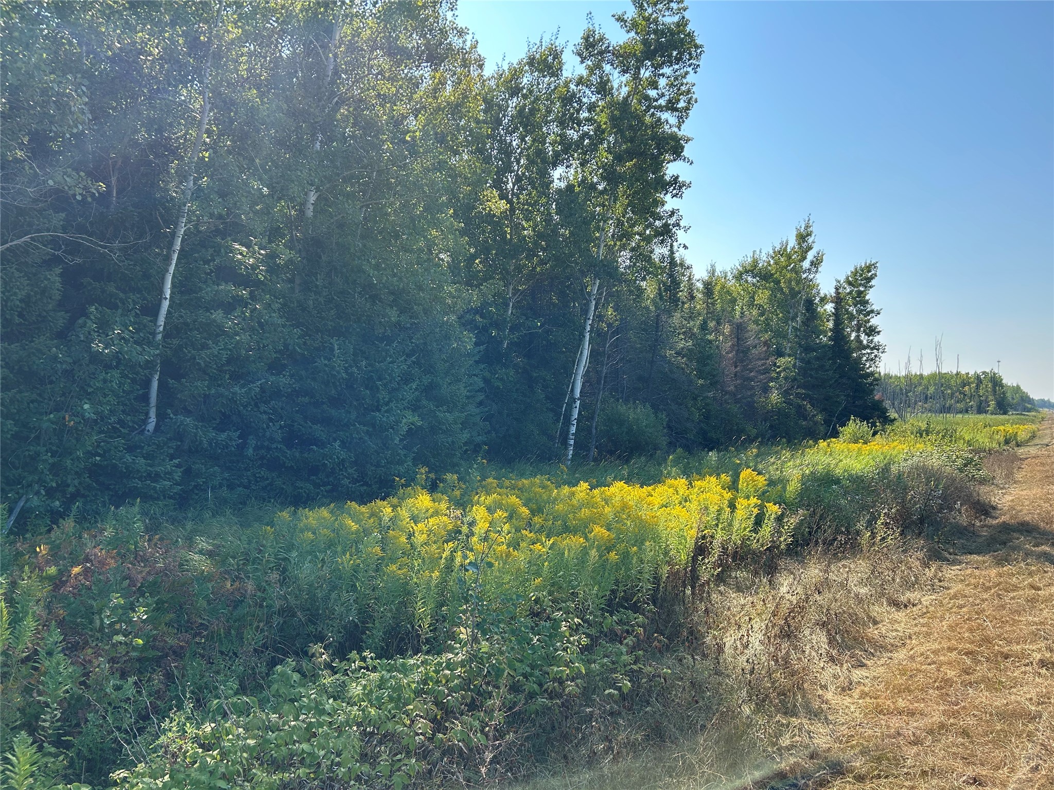 On Highway 53 Property Photo 2
