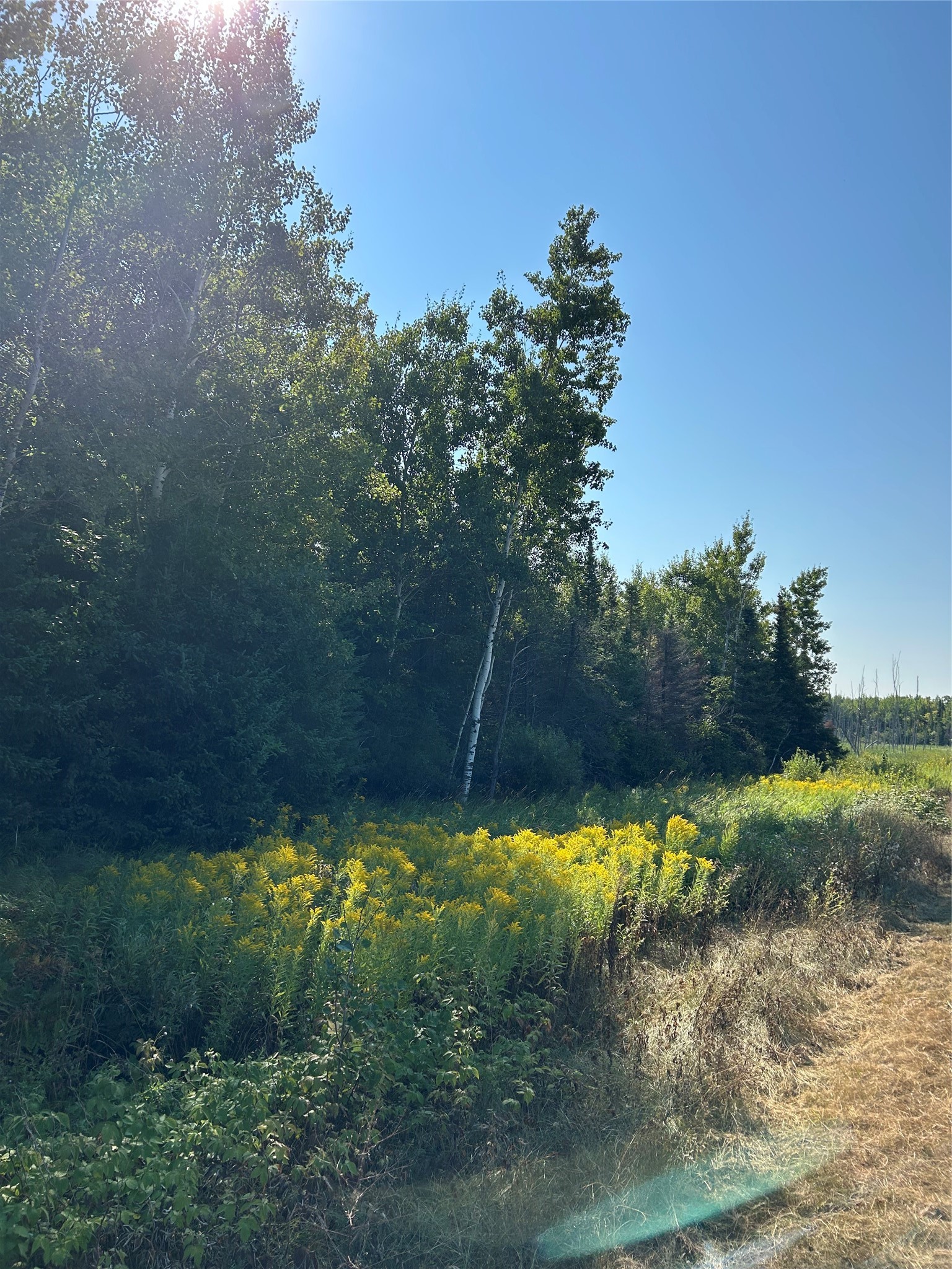 On Highway 53 Property Photo 3
