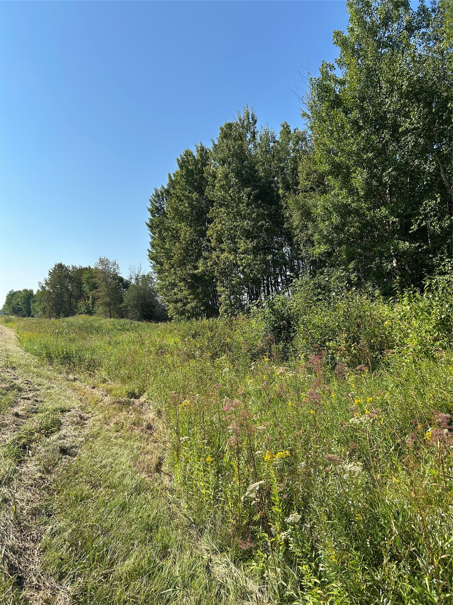 On Highway 53 Property Photo 5