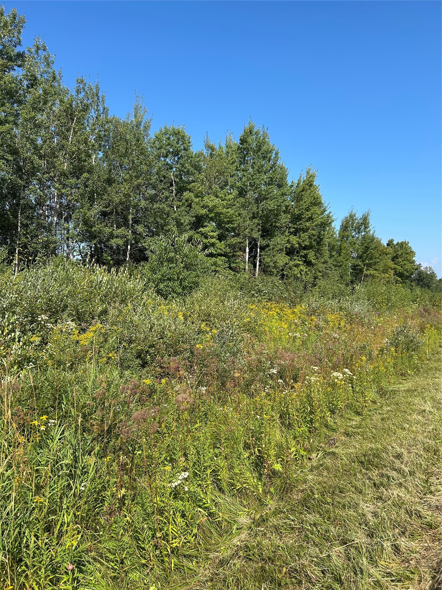 On Highway 53 Property Photo 6