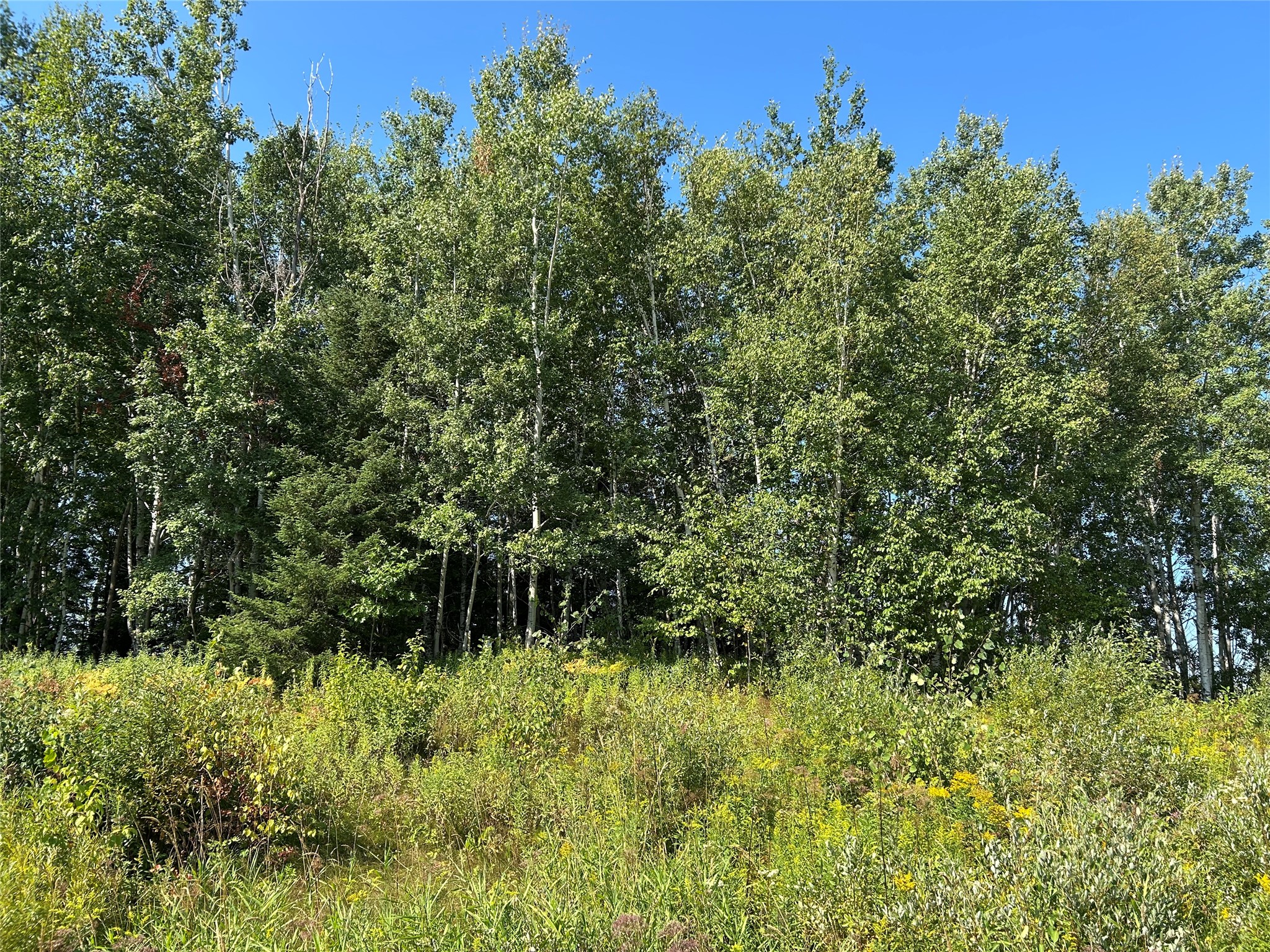On Highway 53 Property Photo 7